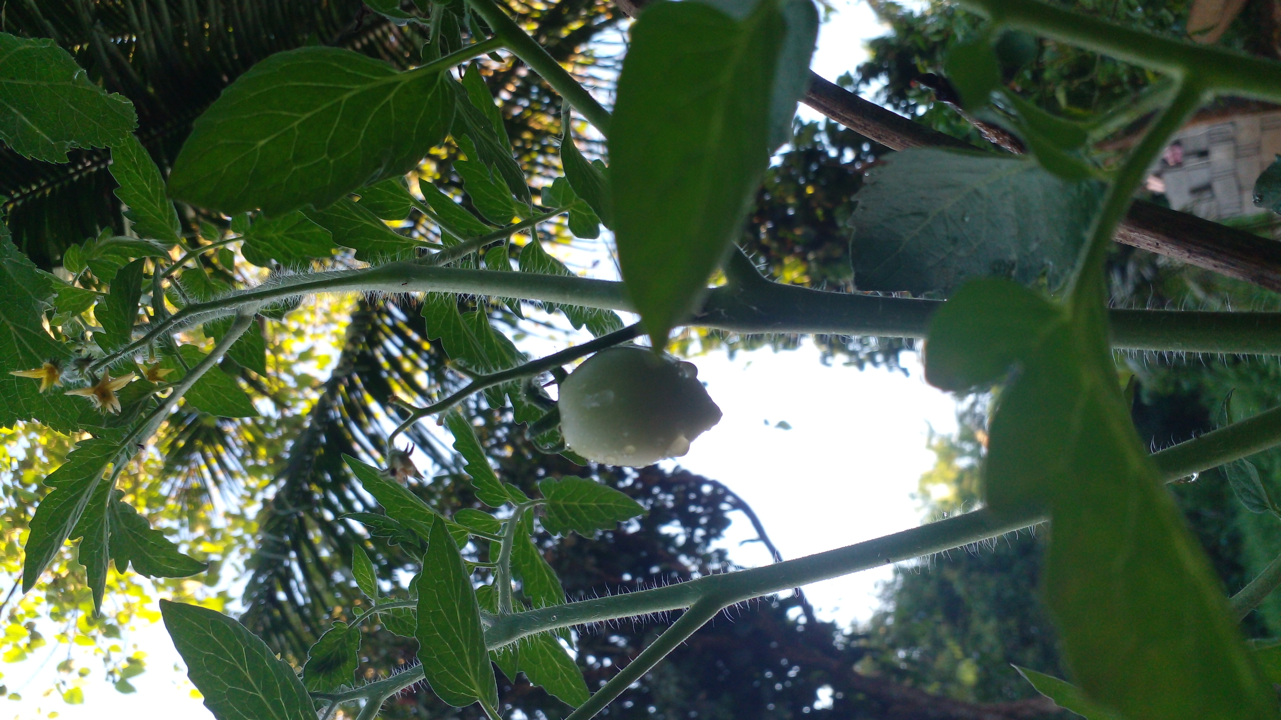 20260608_060354.jpg