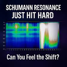 schumann.jpg