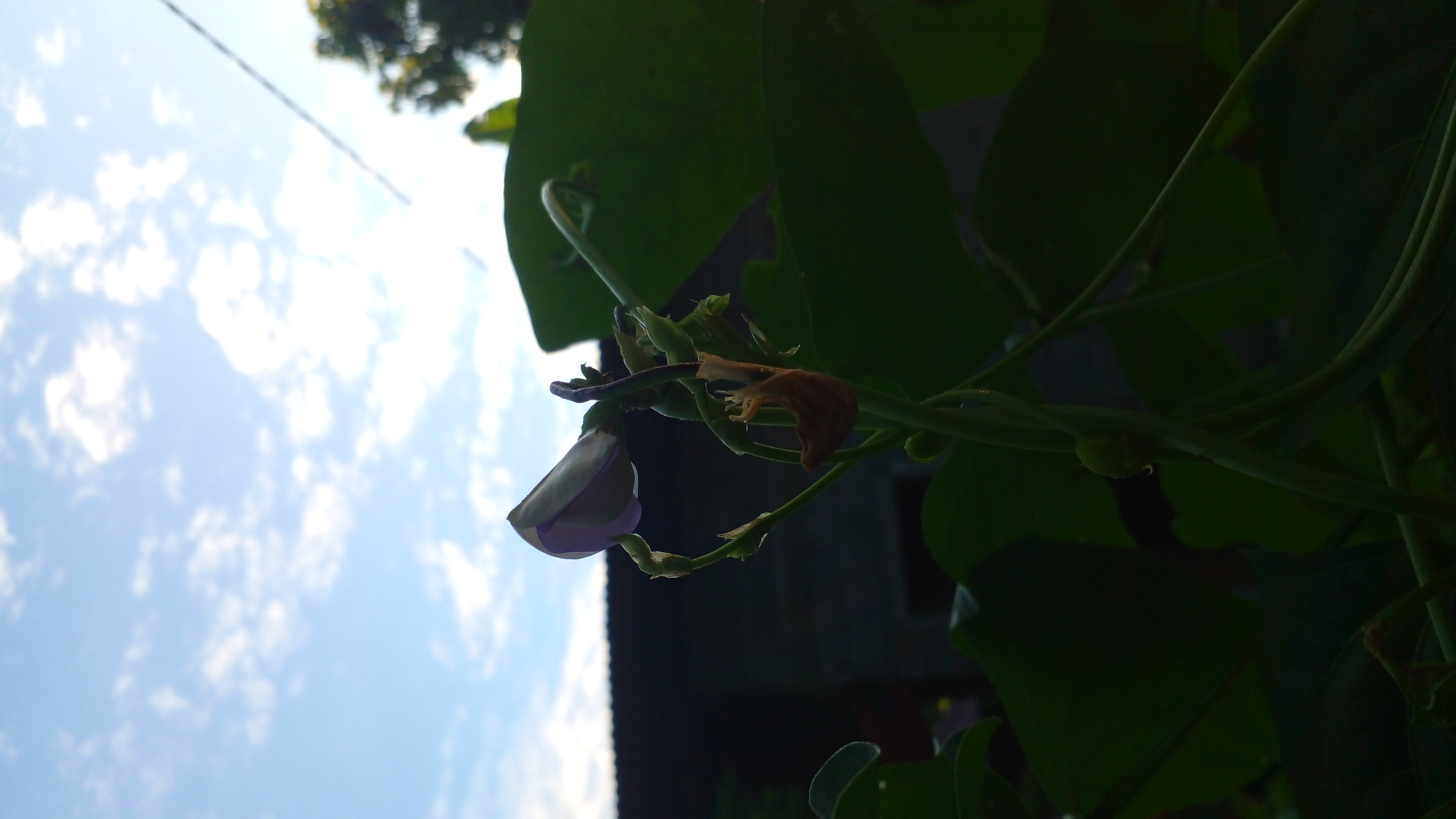 20260608_060235.jpg