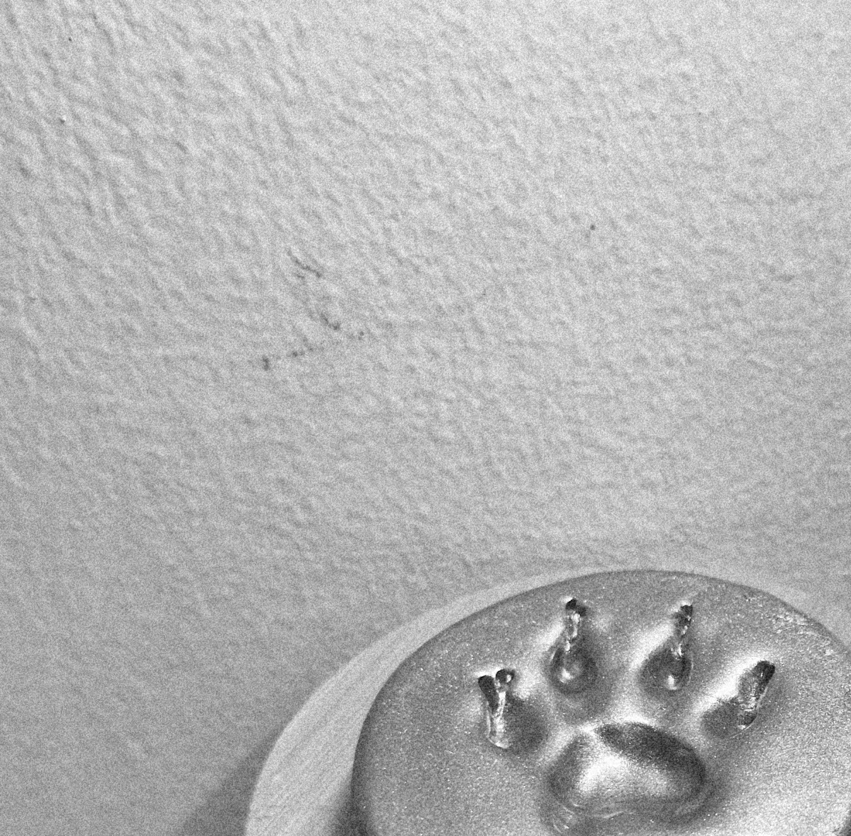 20260423_172006(1).jpg