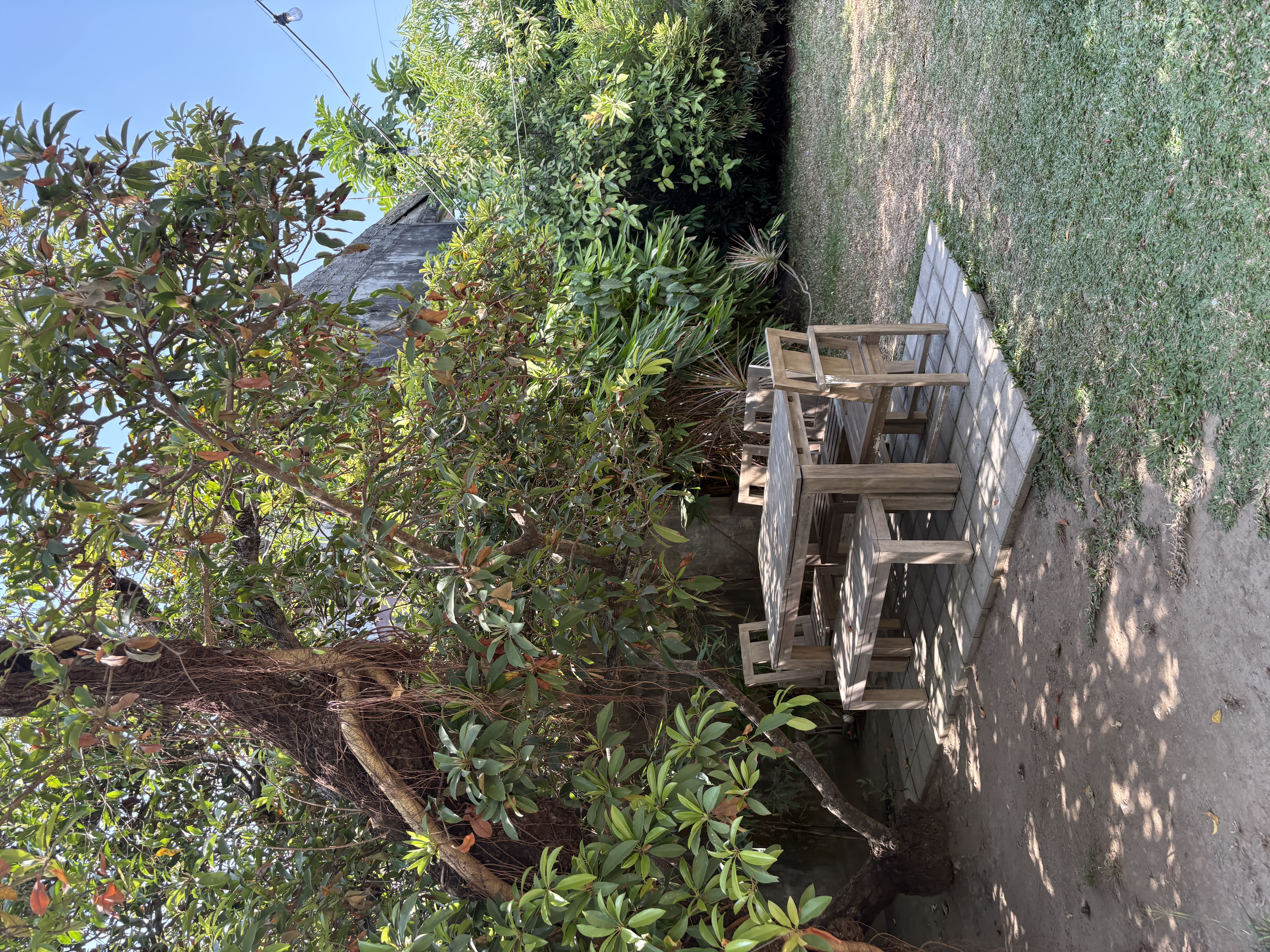 IMG_9326.jpeg