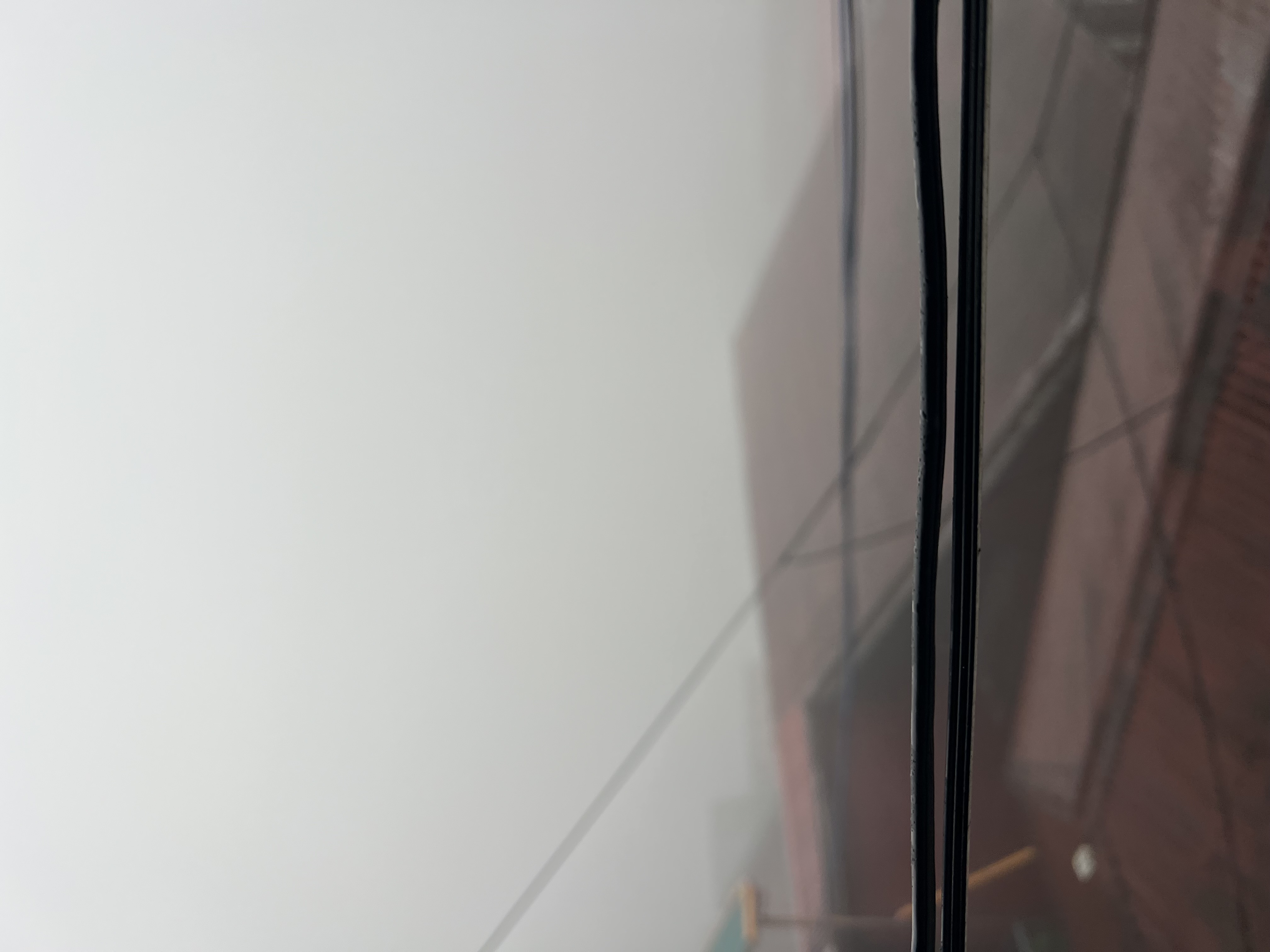 IMG_8907.jpeg
