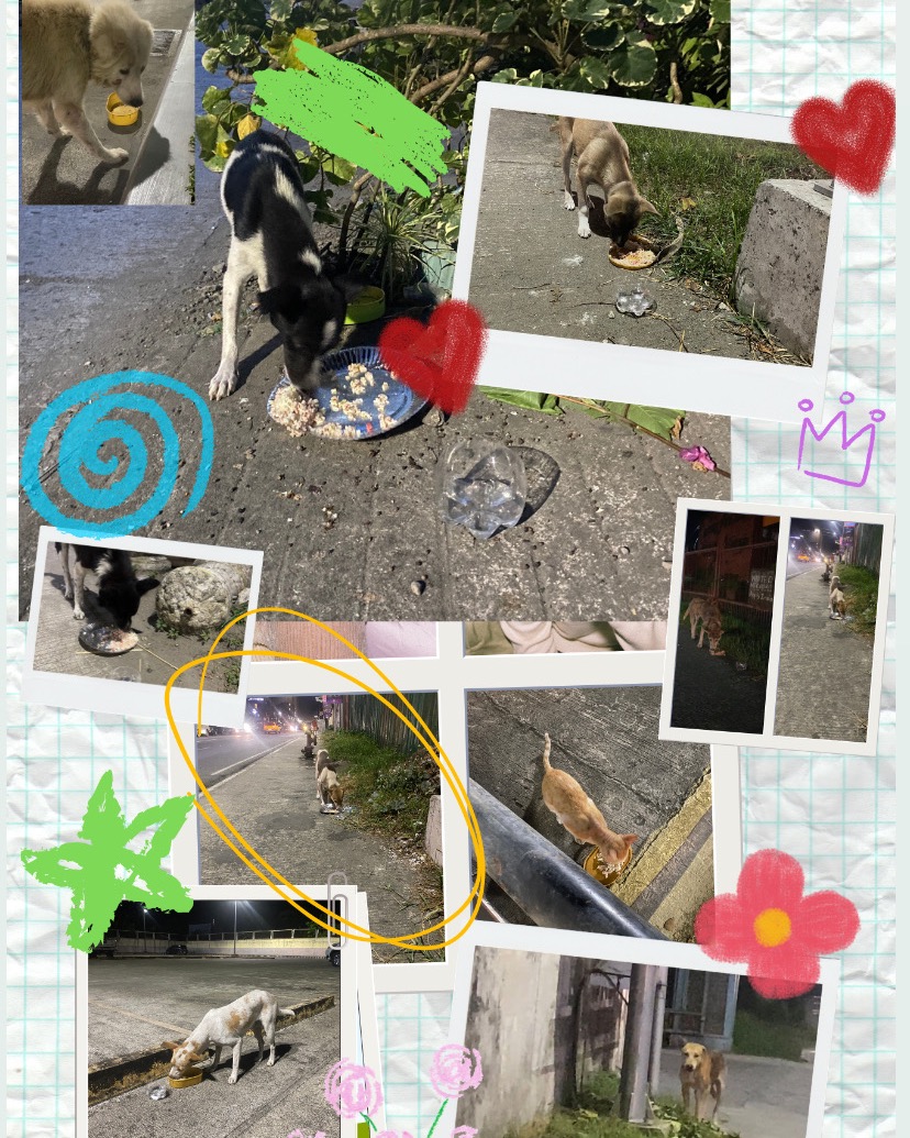 rayover_2026-06-13T15:29:20.746Z