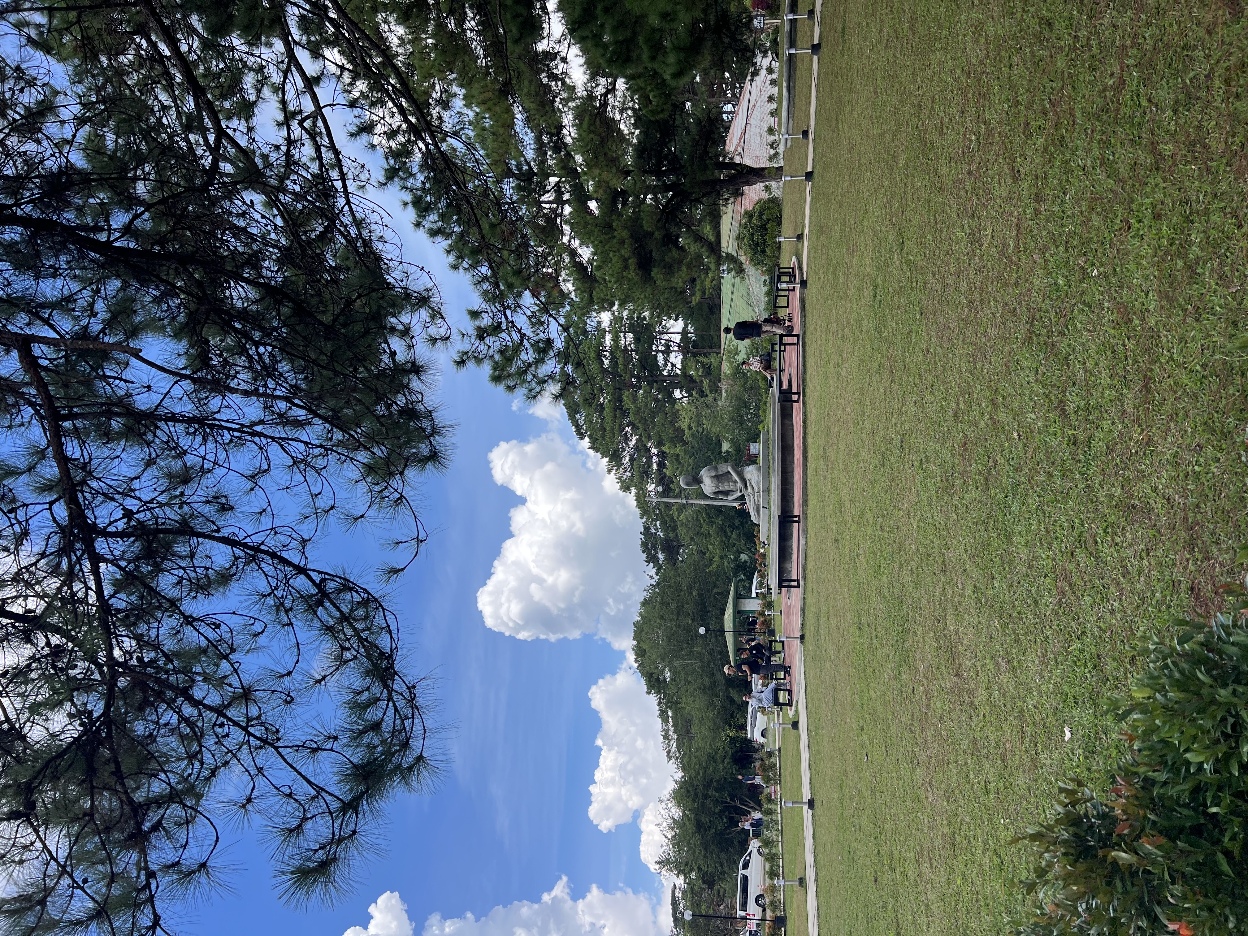 IMG_8953.jpeg