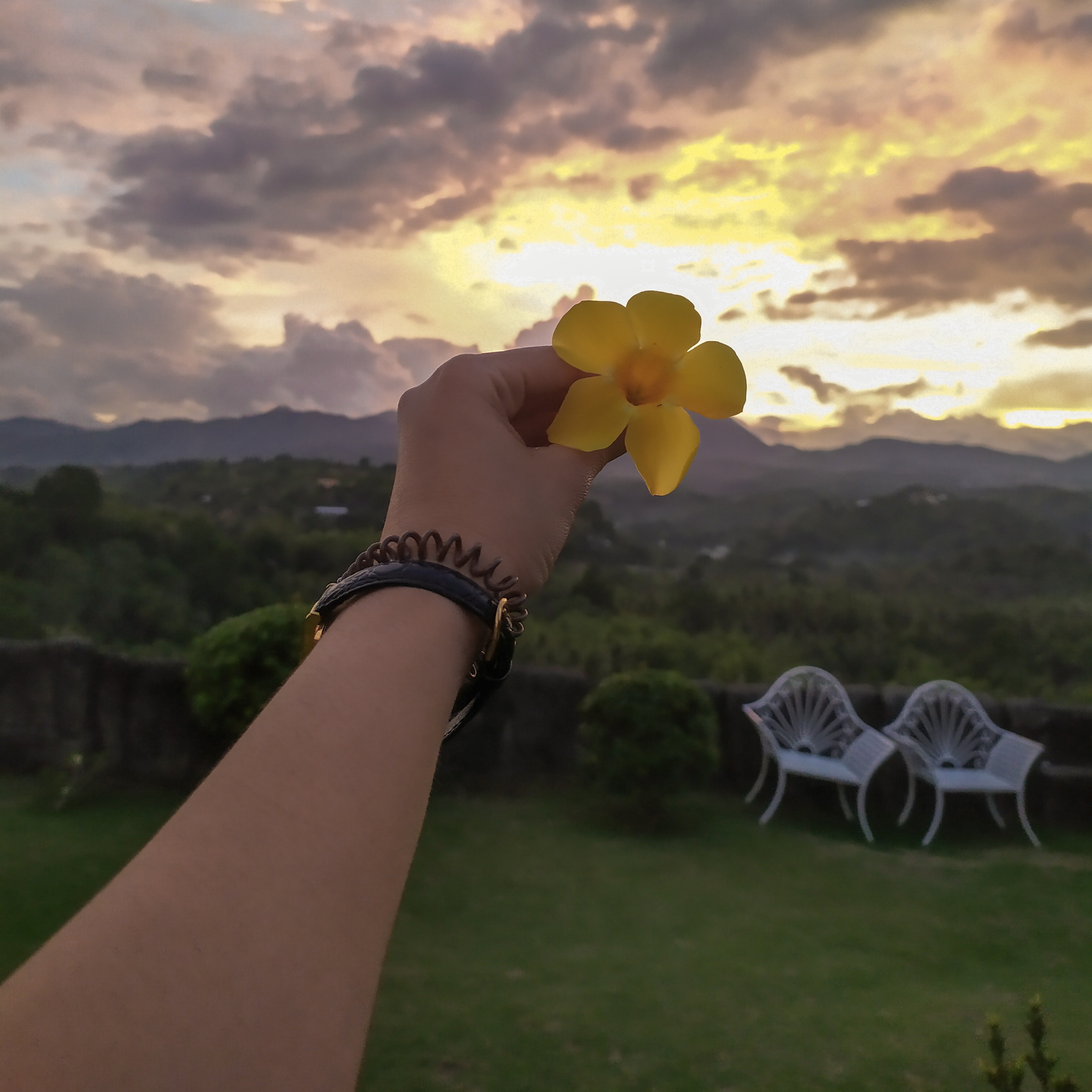 rayover_2026-06-15T12:04:54.765Z