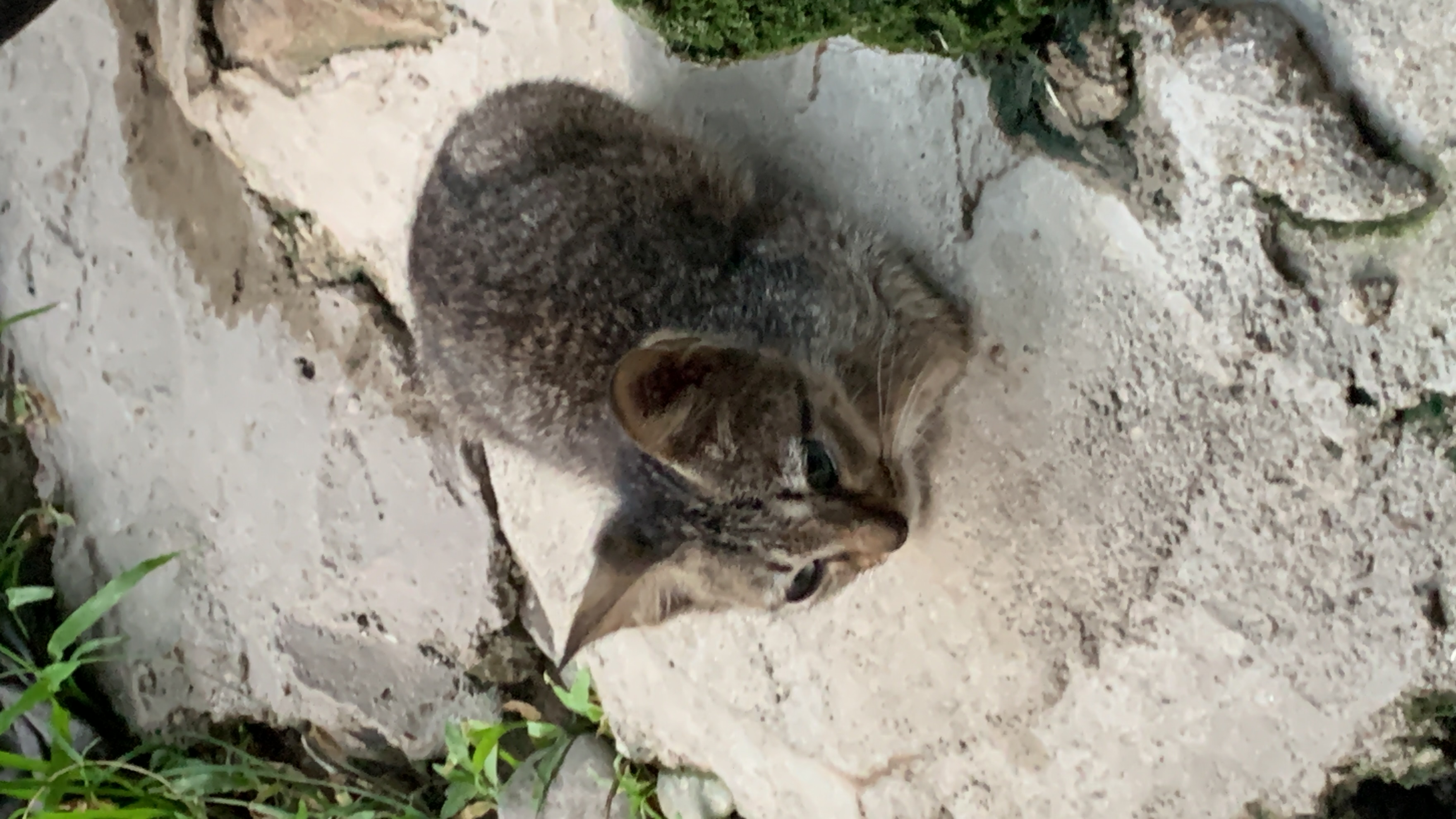 IMG_8808.jpeg