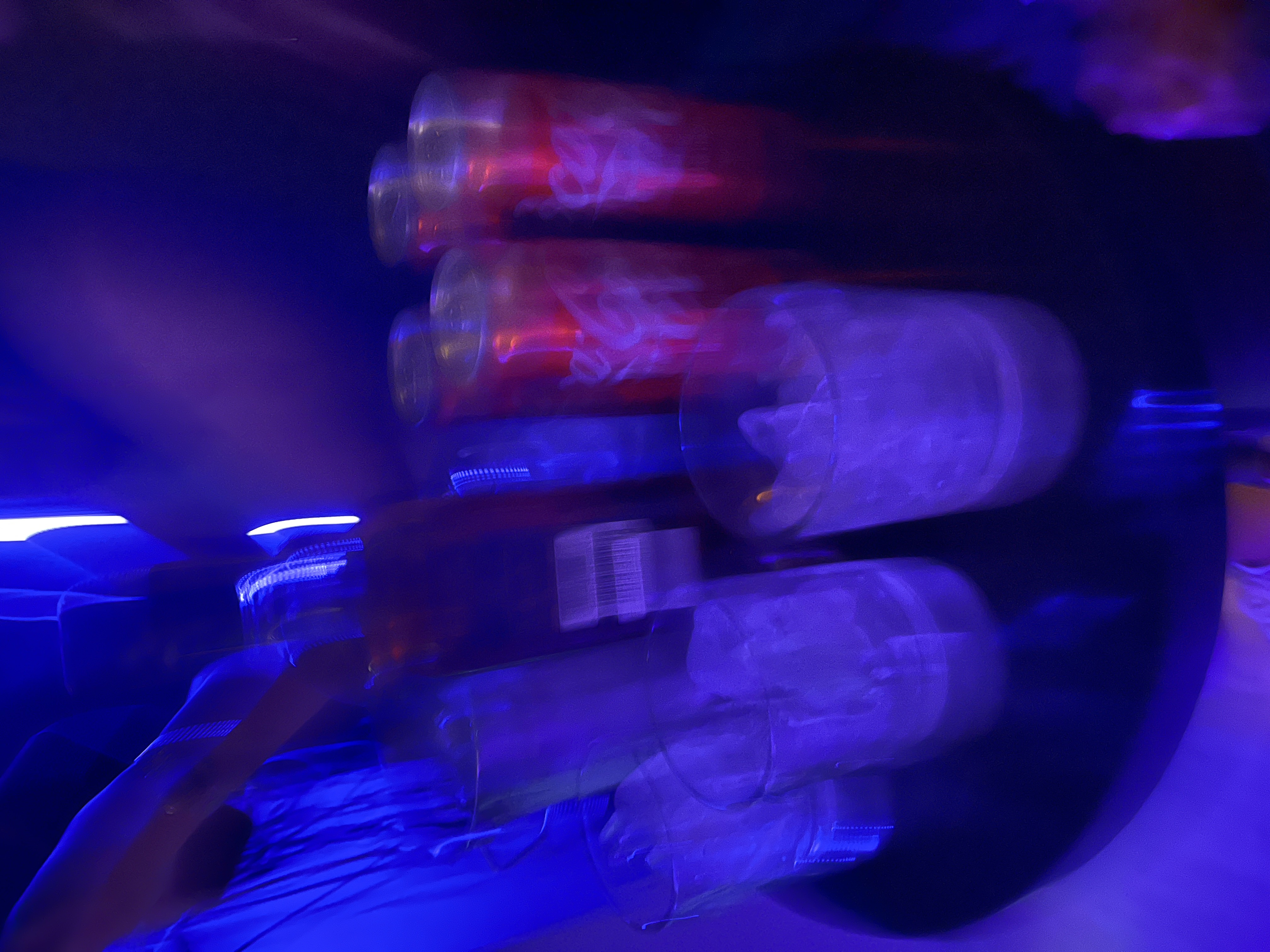 IMG_4231.jpeg