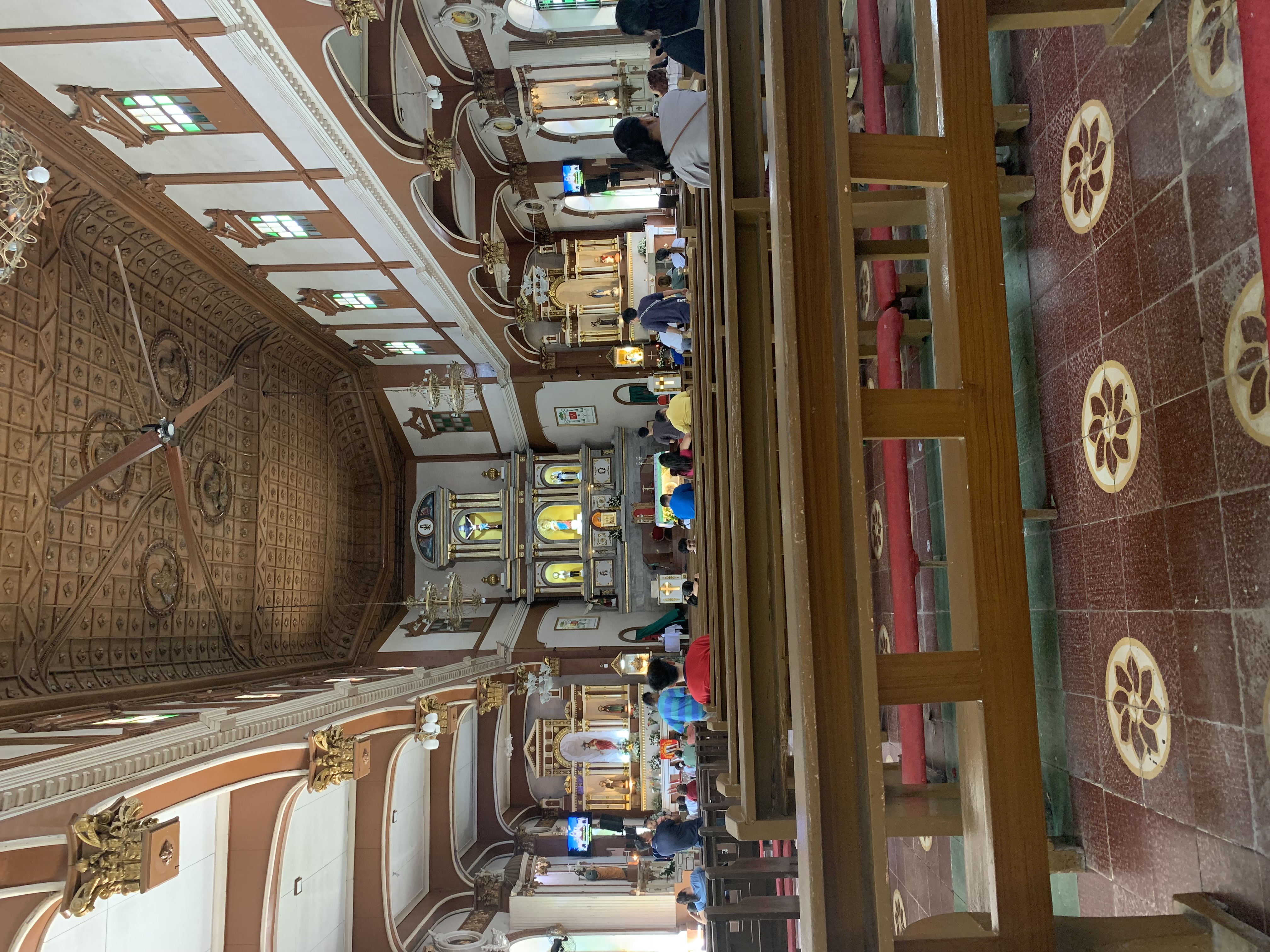 IMG_3984.jpeg