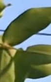 1000018249.jpg