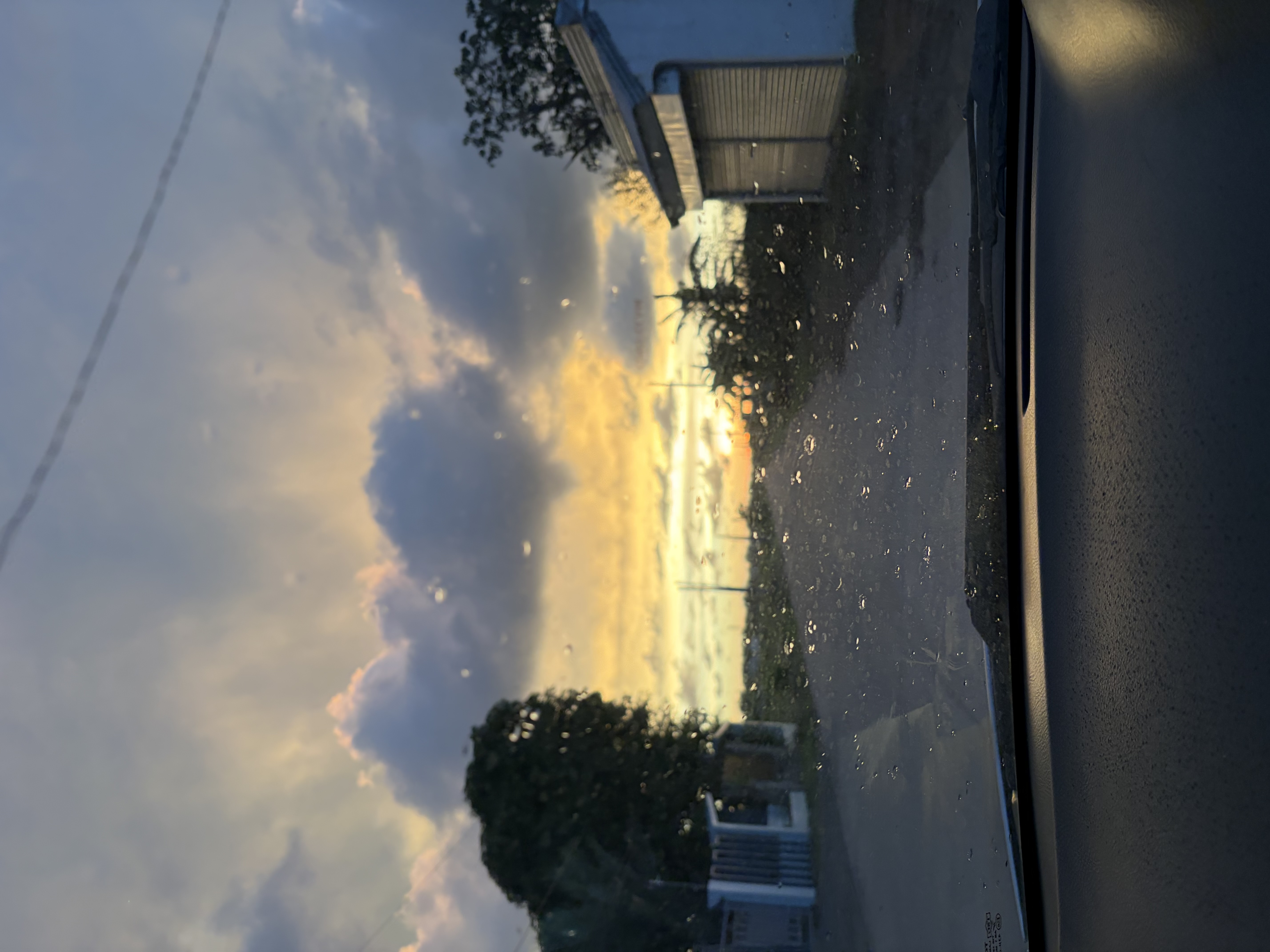 IMG_2357.jpeg