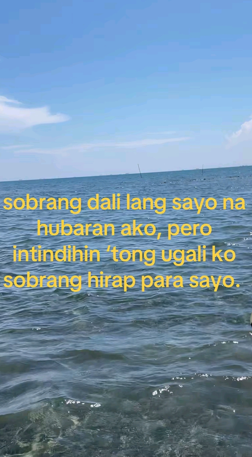 6566.jpg
