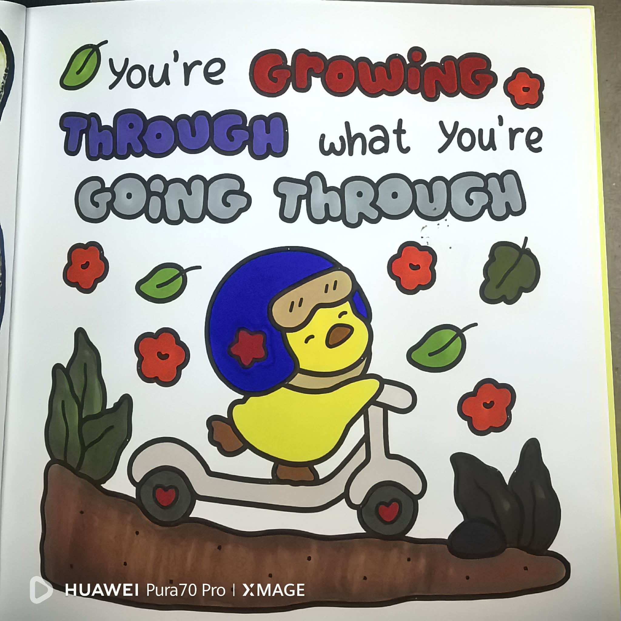 1000033617.jpg