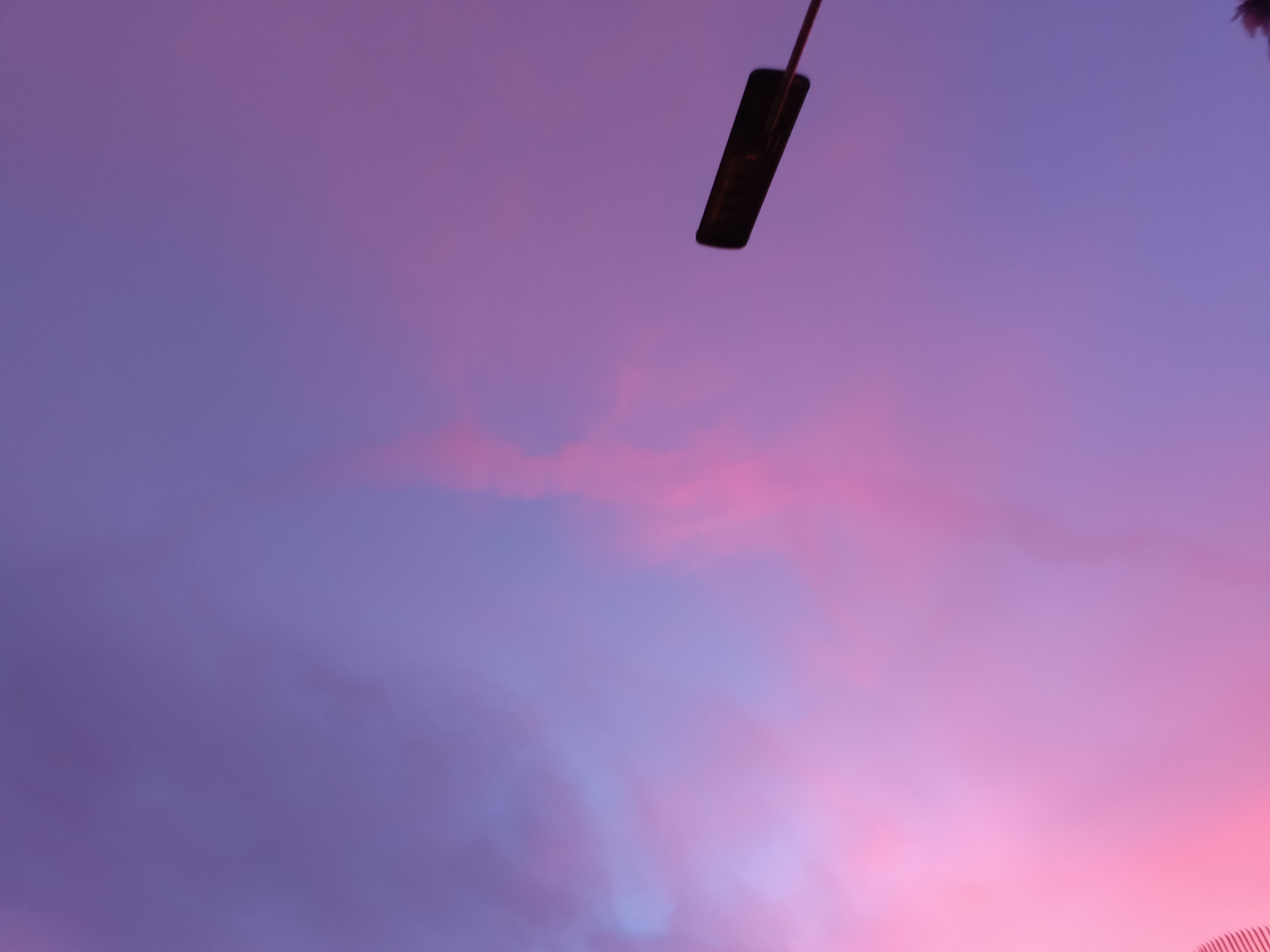 1000003815.jpg