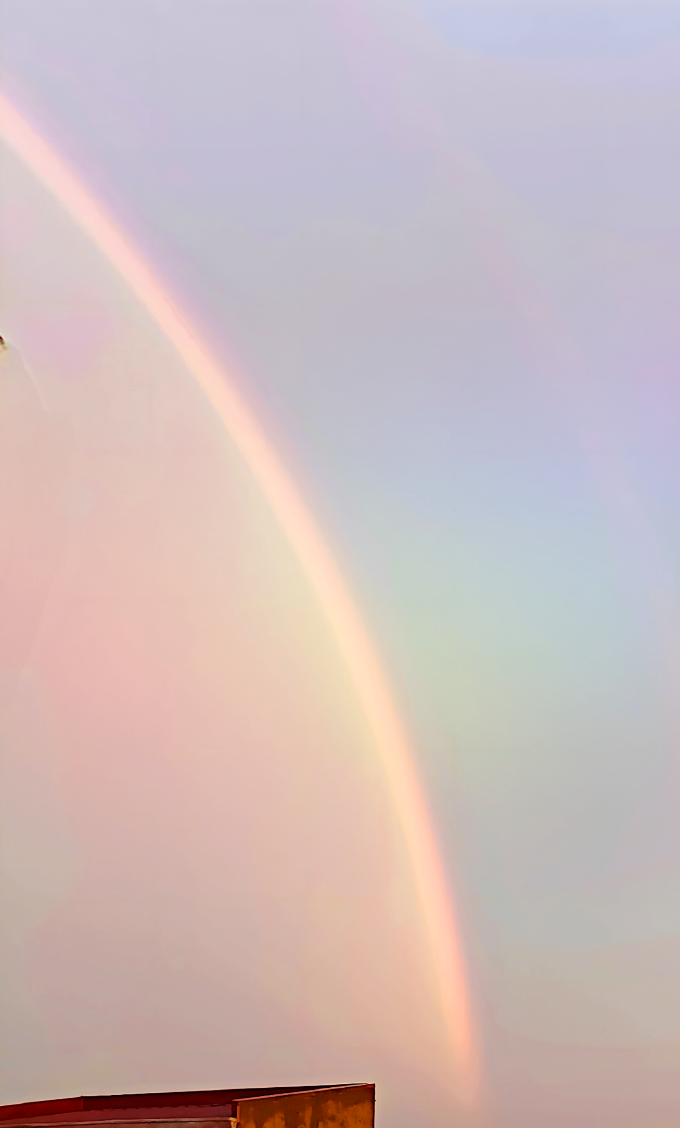 1000079916.jpg