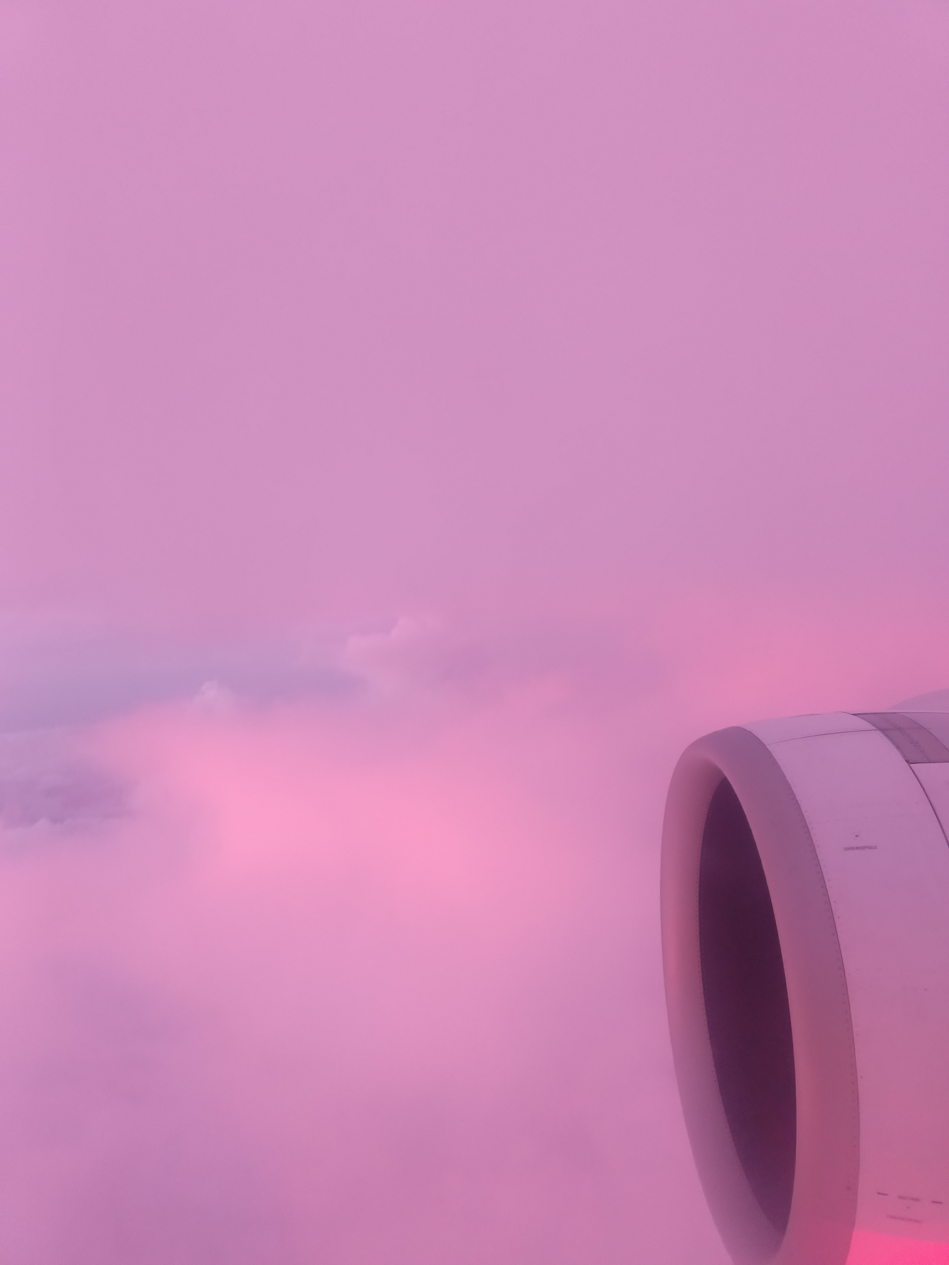 1000002204.jpg