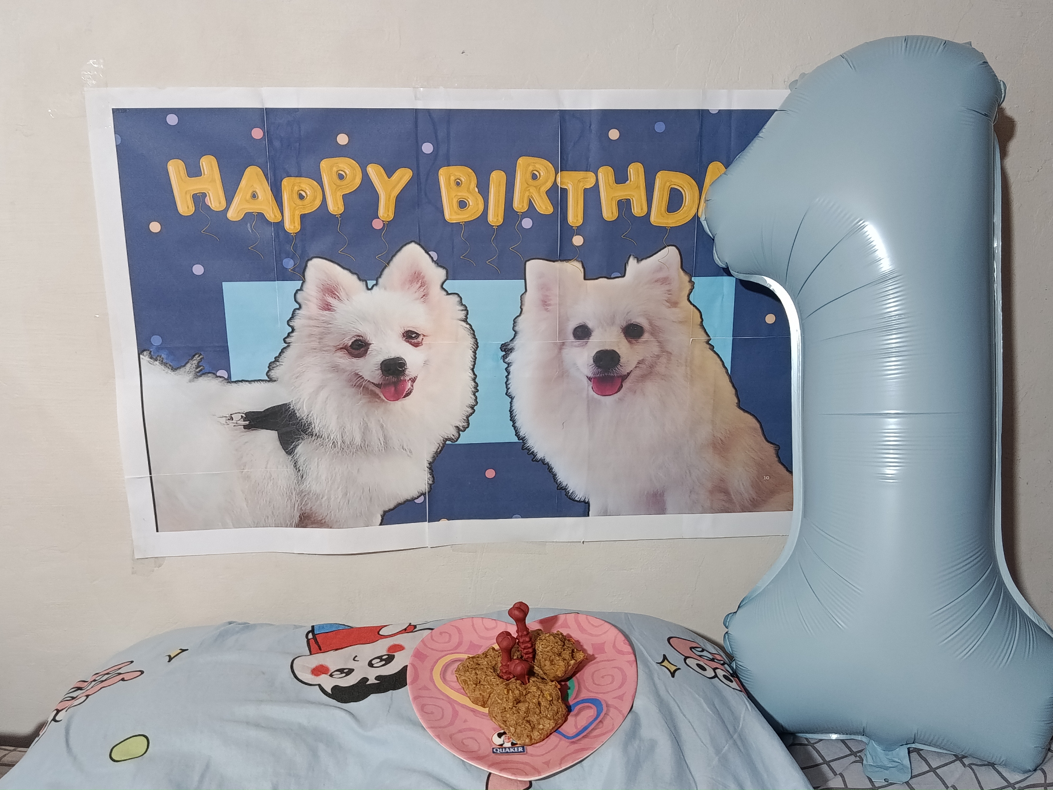 1000088400.jpg