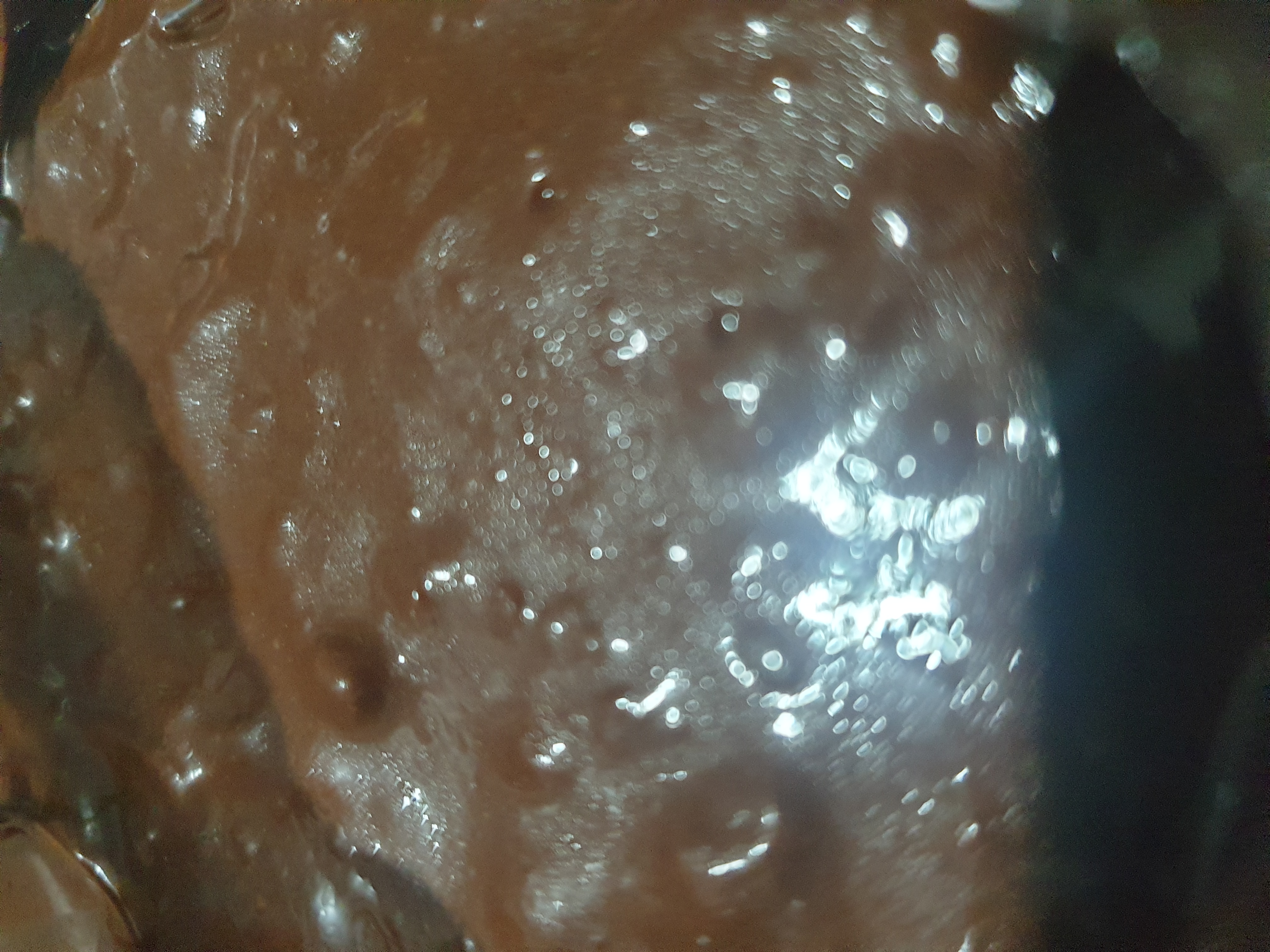 image-7224796654268867989.jpg