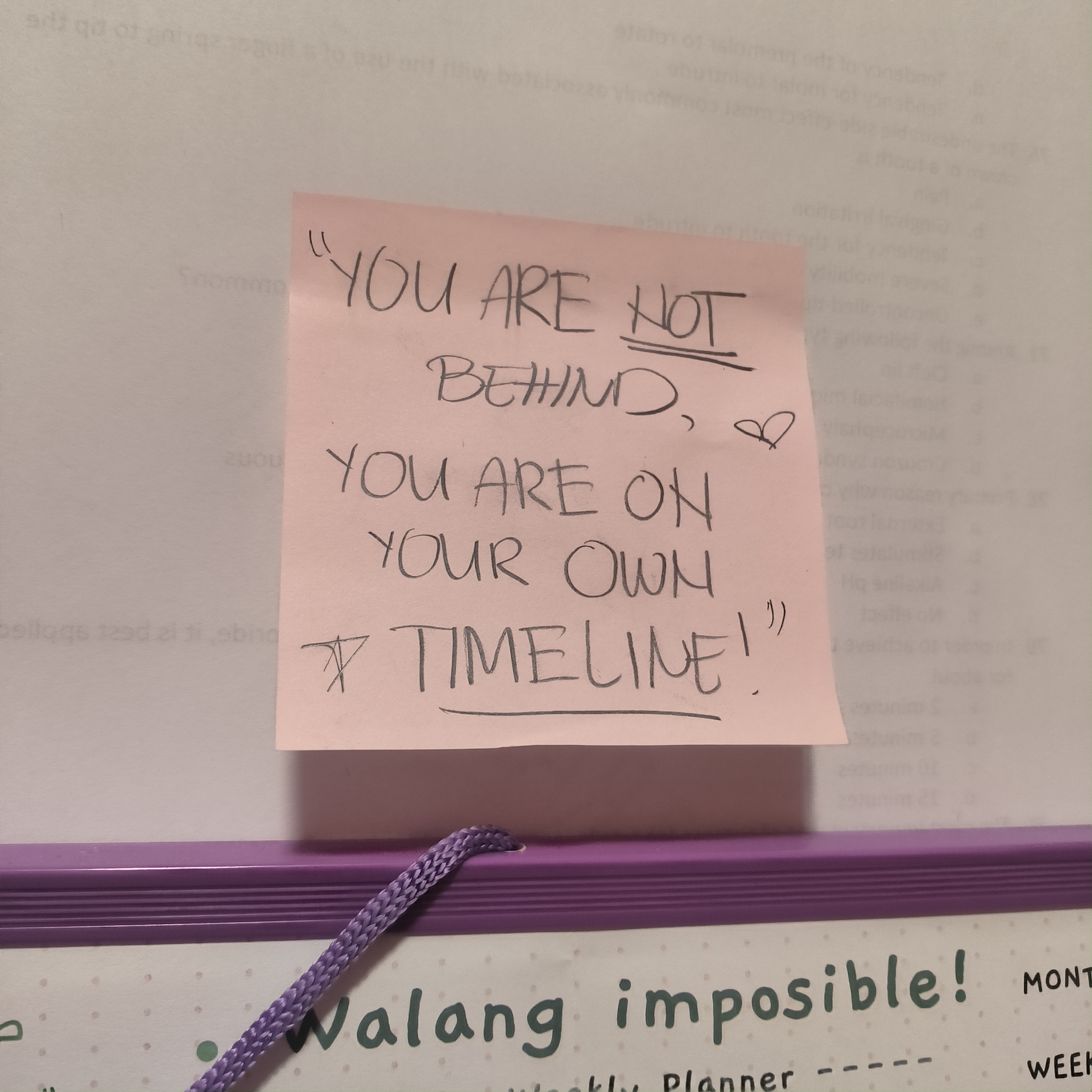 image-4293381496559352252.jpg