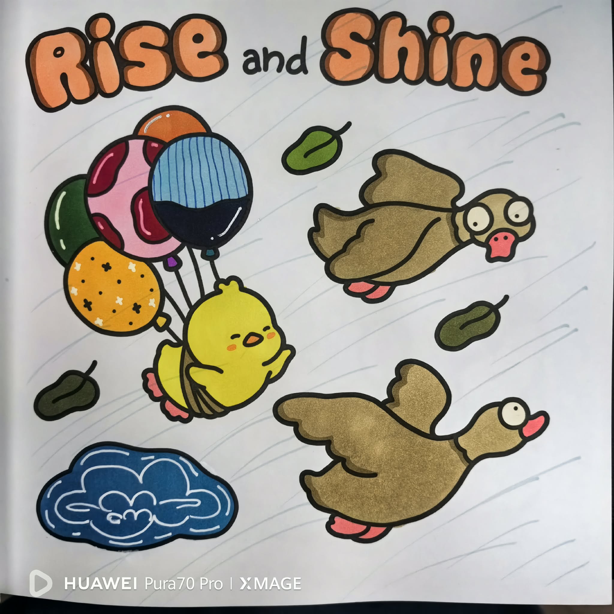 1000034377.jpg