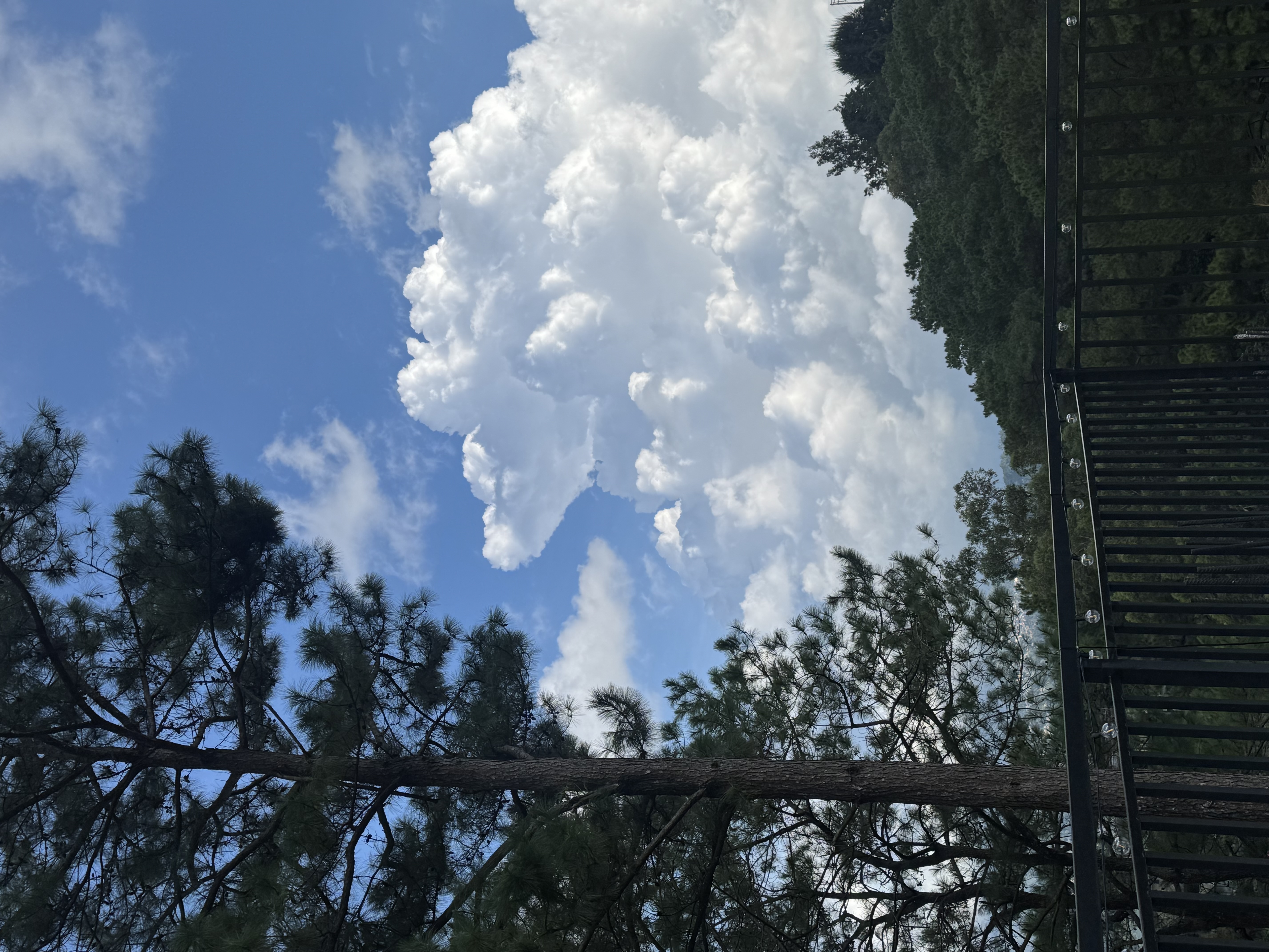 IMG_3923.jpeg
