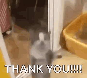1001045950.gif