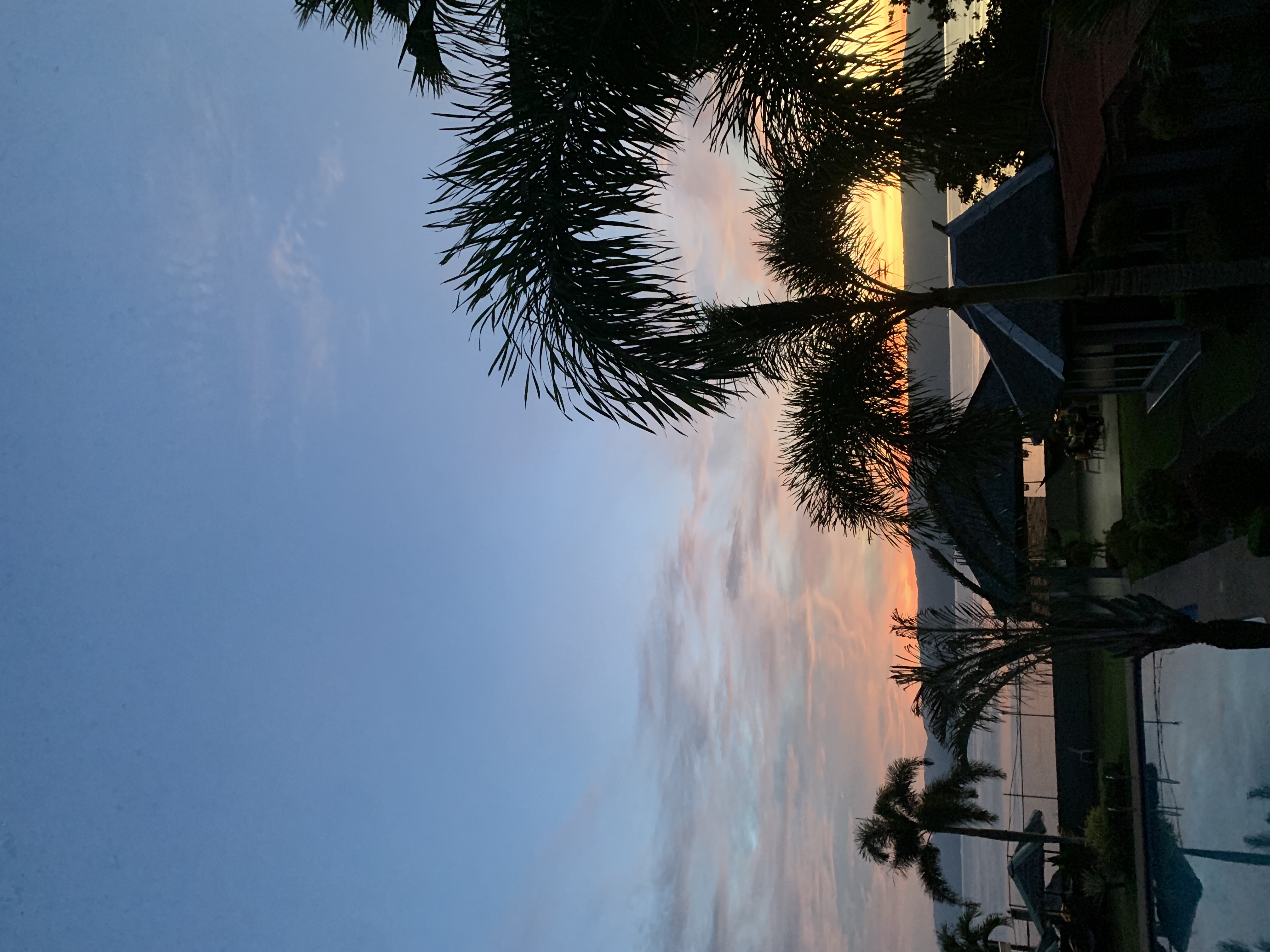 IMG_2644.jpeg