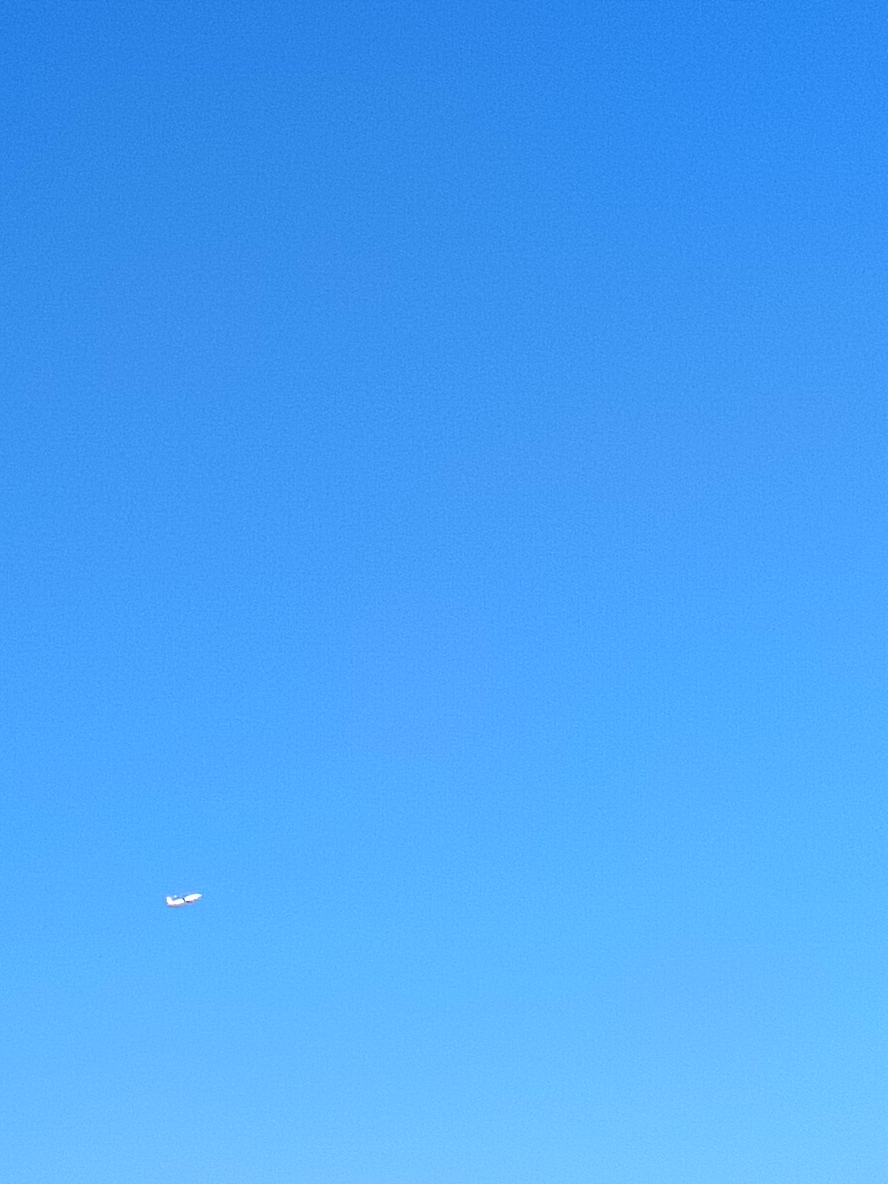 1000004241.jpg