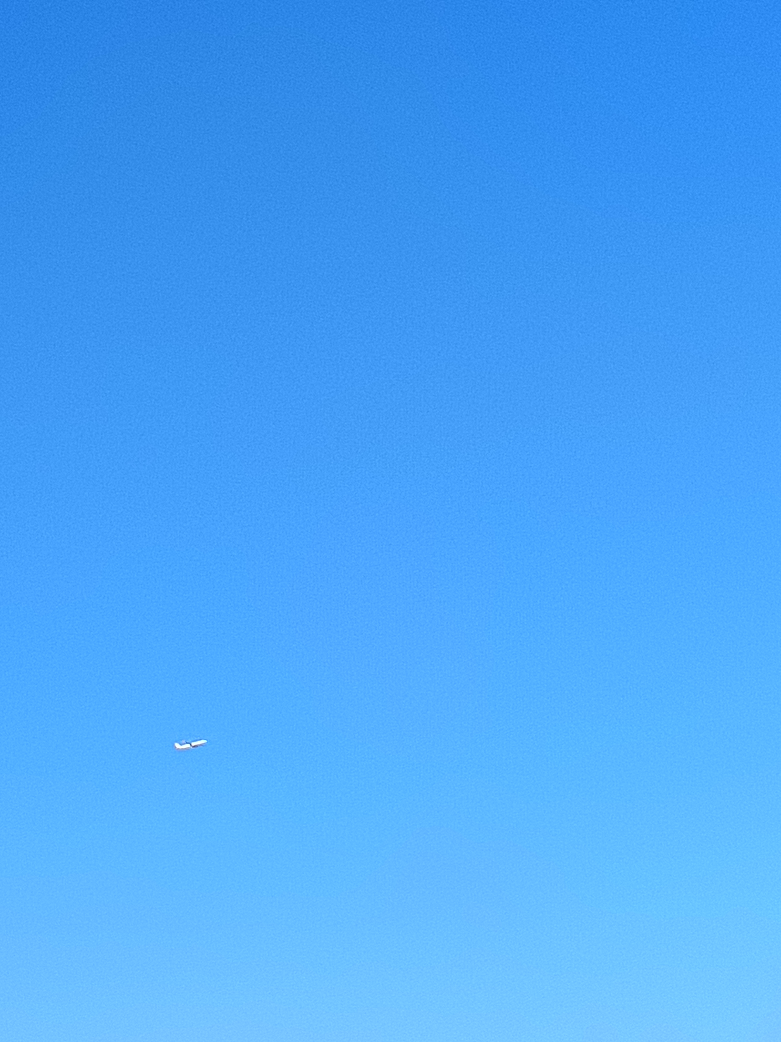 1000004242.jpg