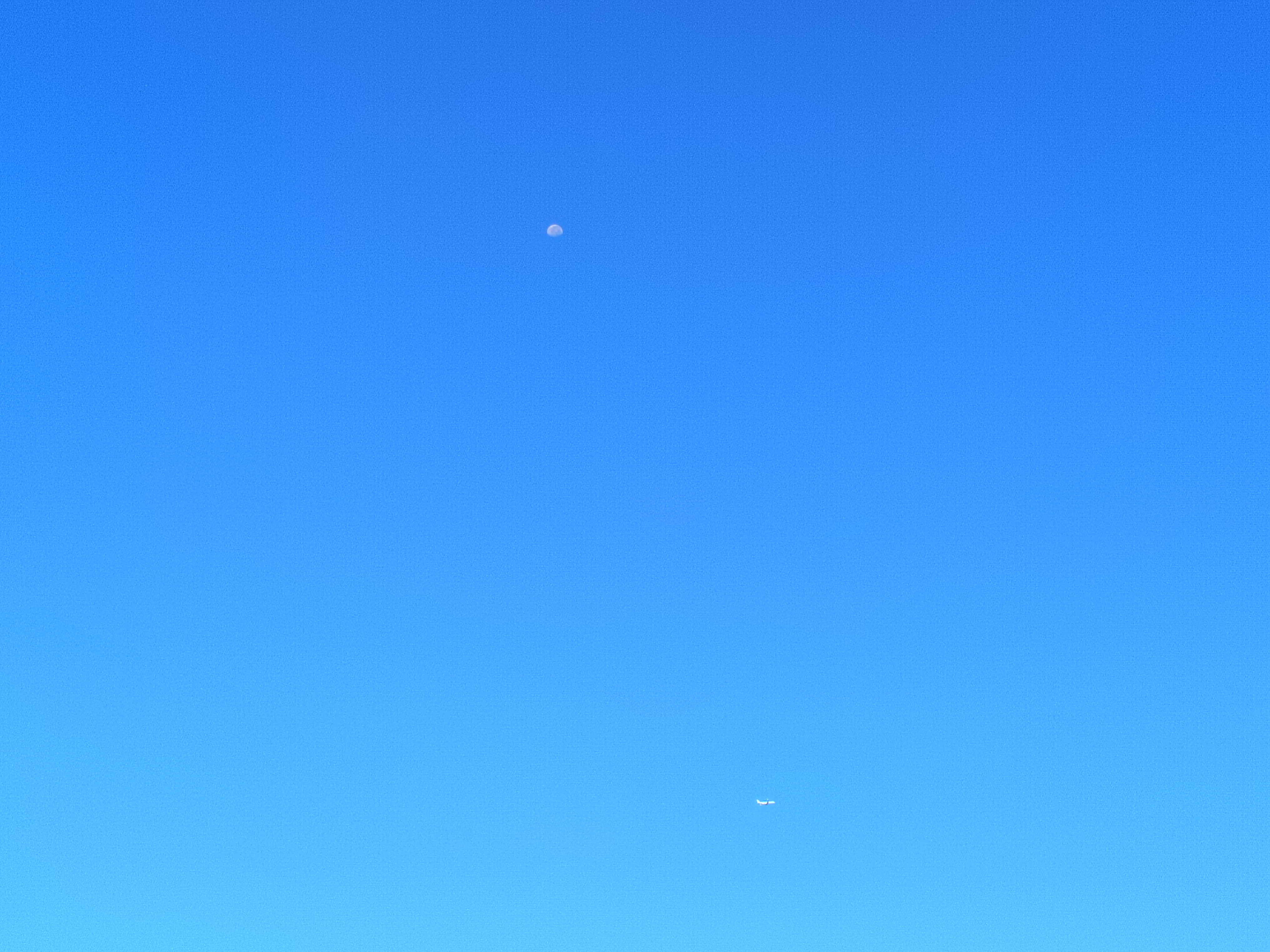 1000004243.jpg