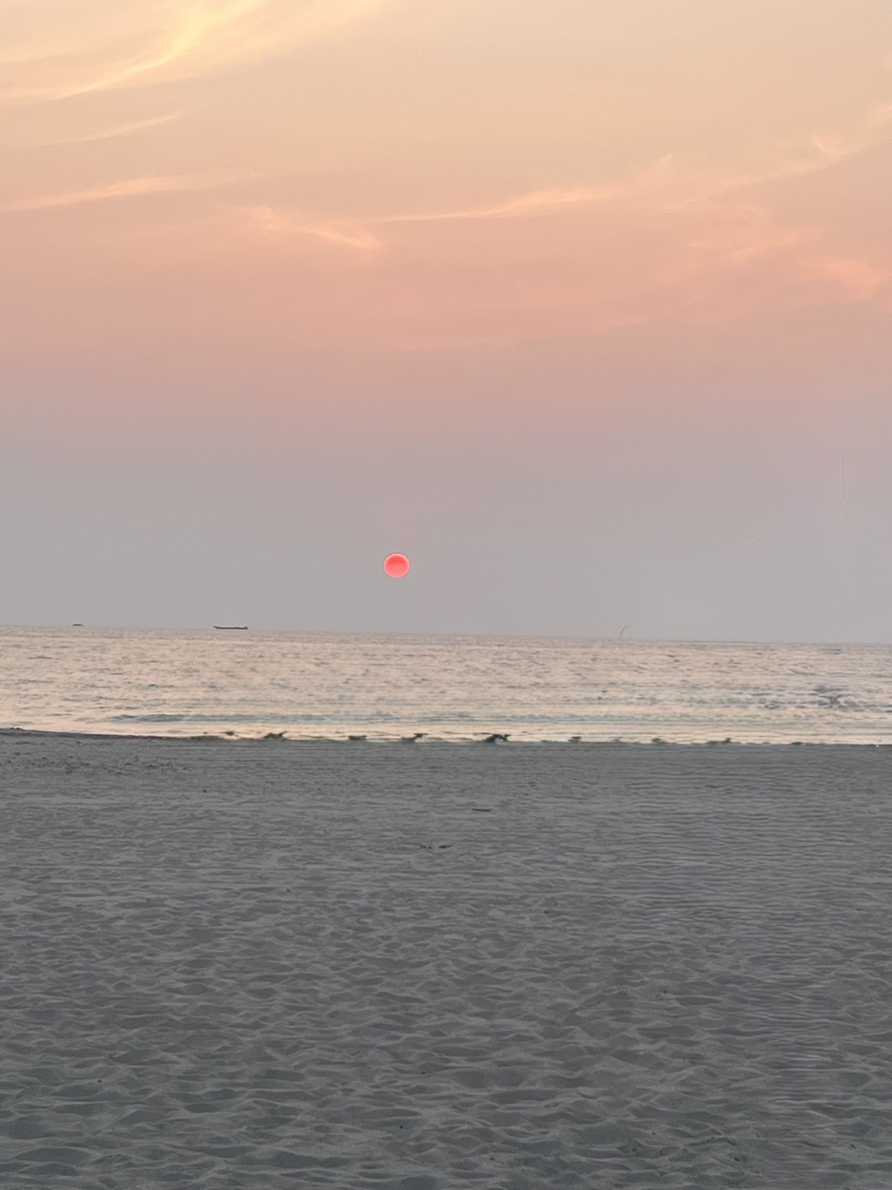 IMG_6048.jpeg