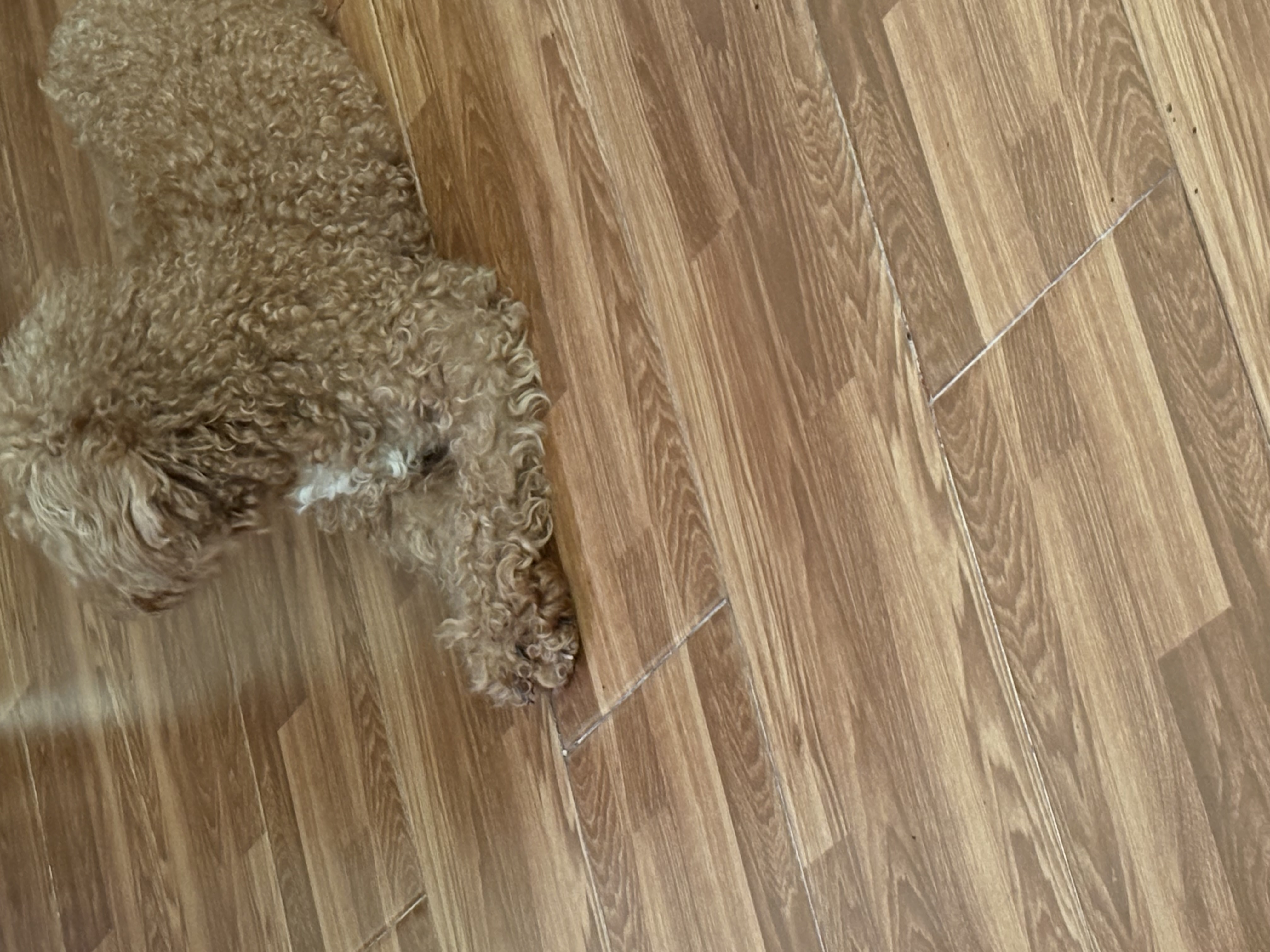 IMG_0573.jpeg