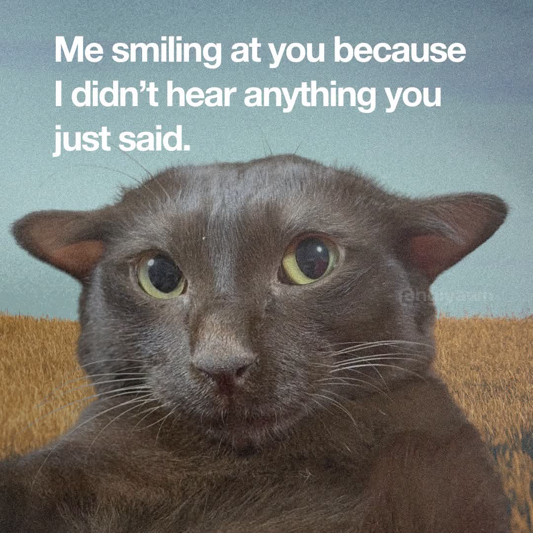 1000001958.jpg