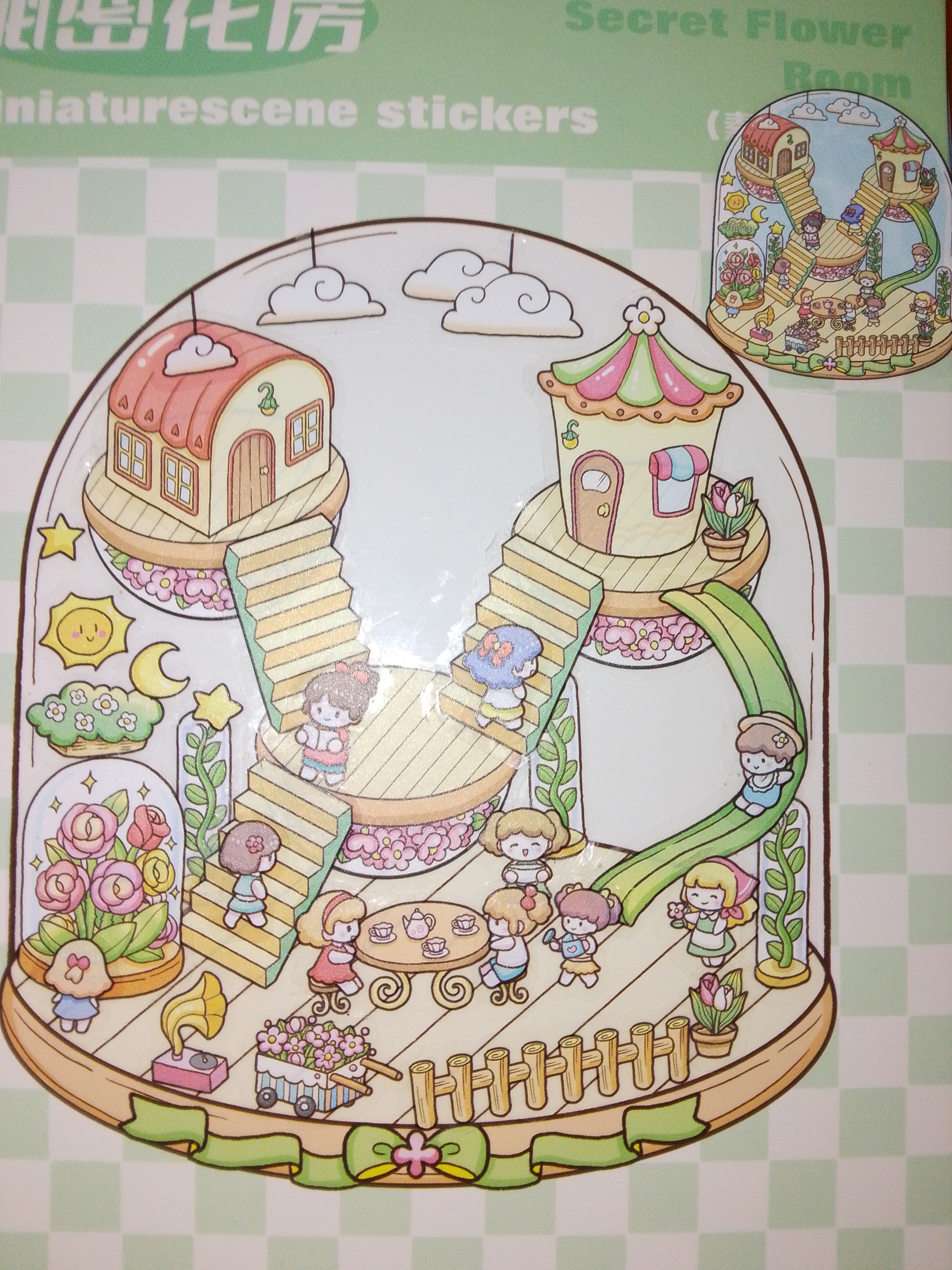 1000048877.jpg