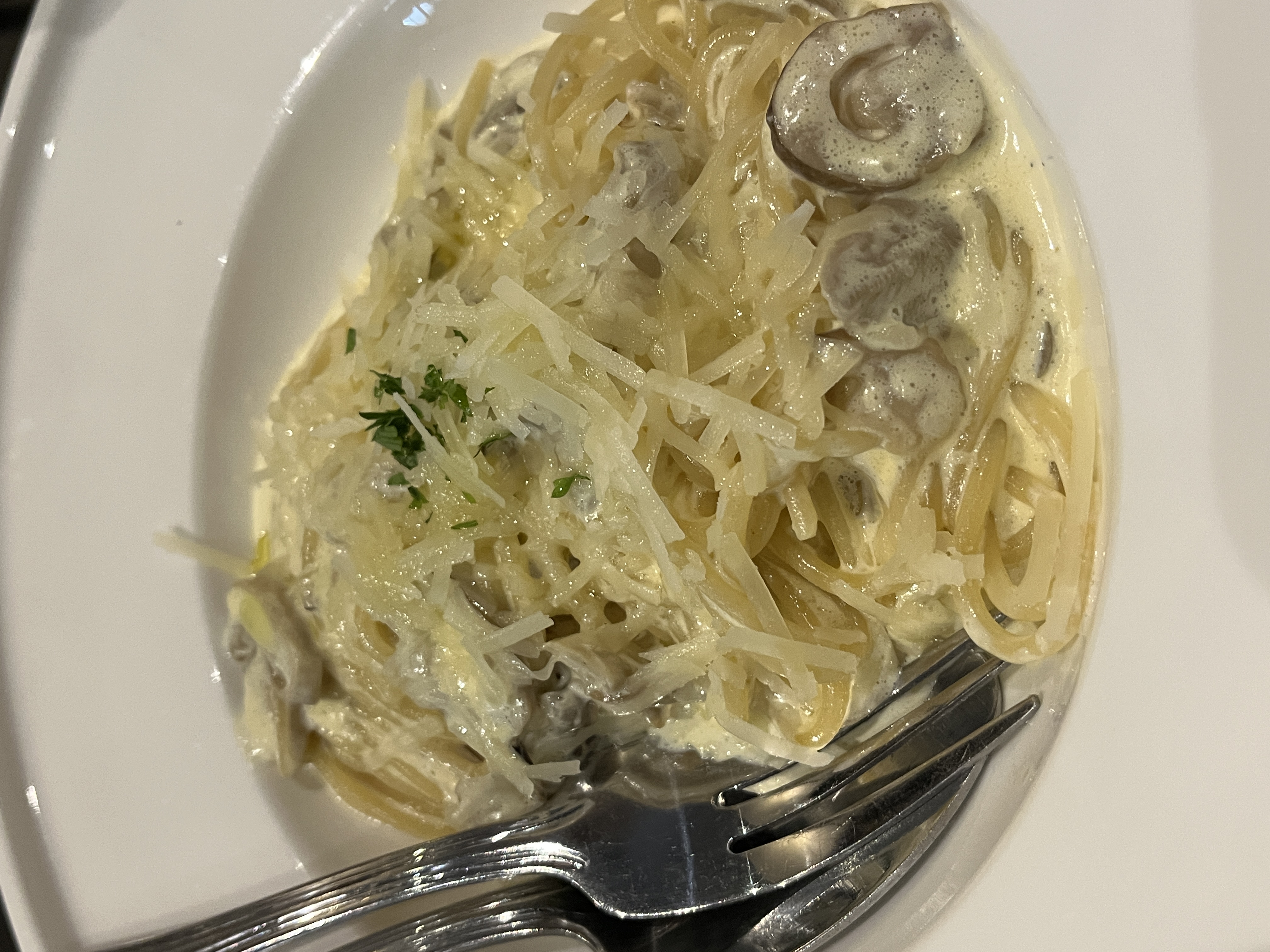 IMG_4742.jpeg