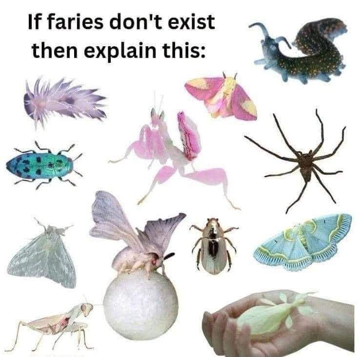 1000002167.jpg