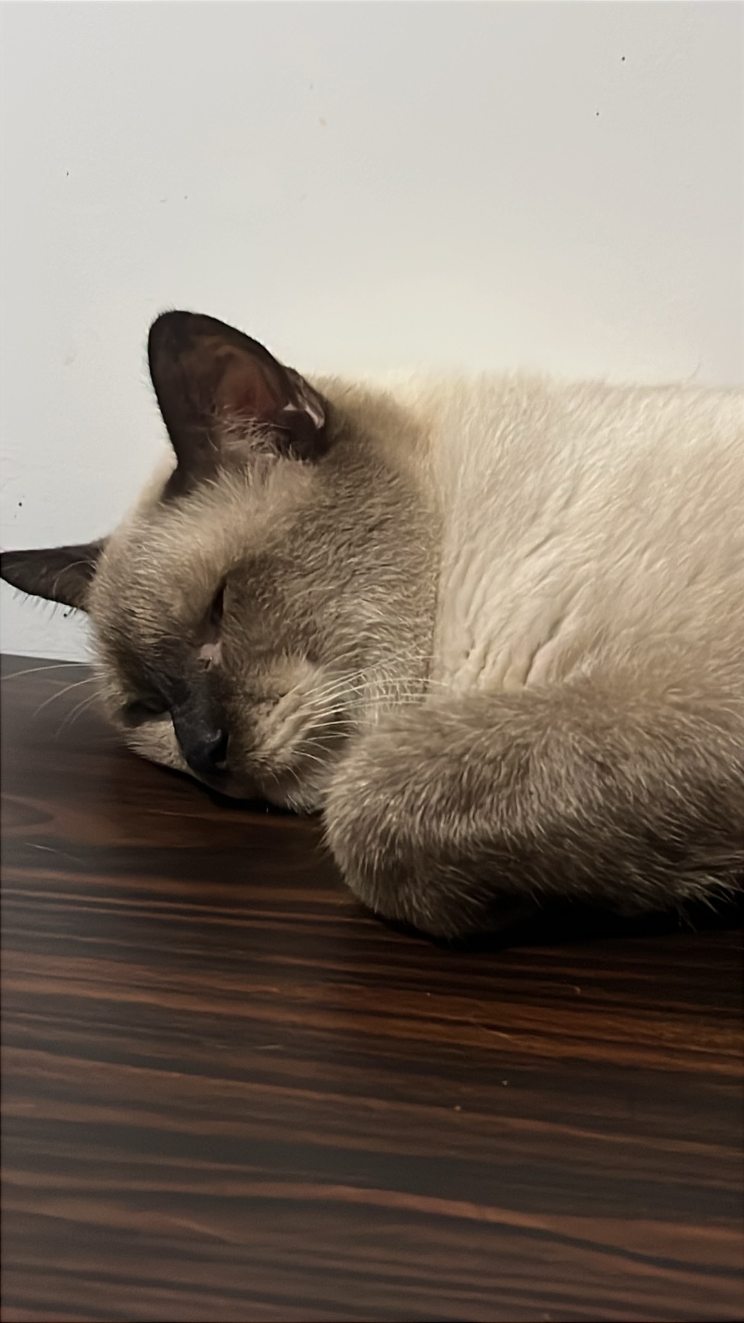 IMG_0740.jpeg