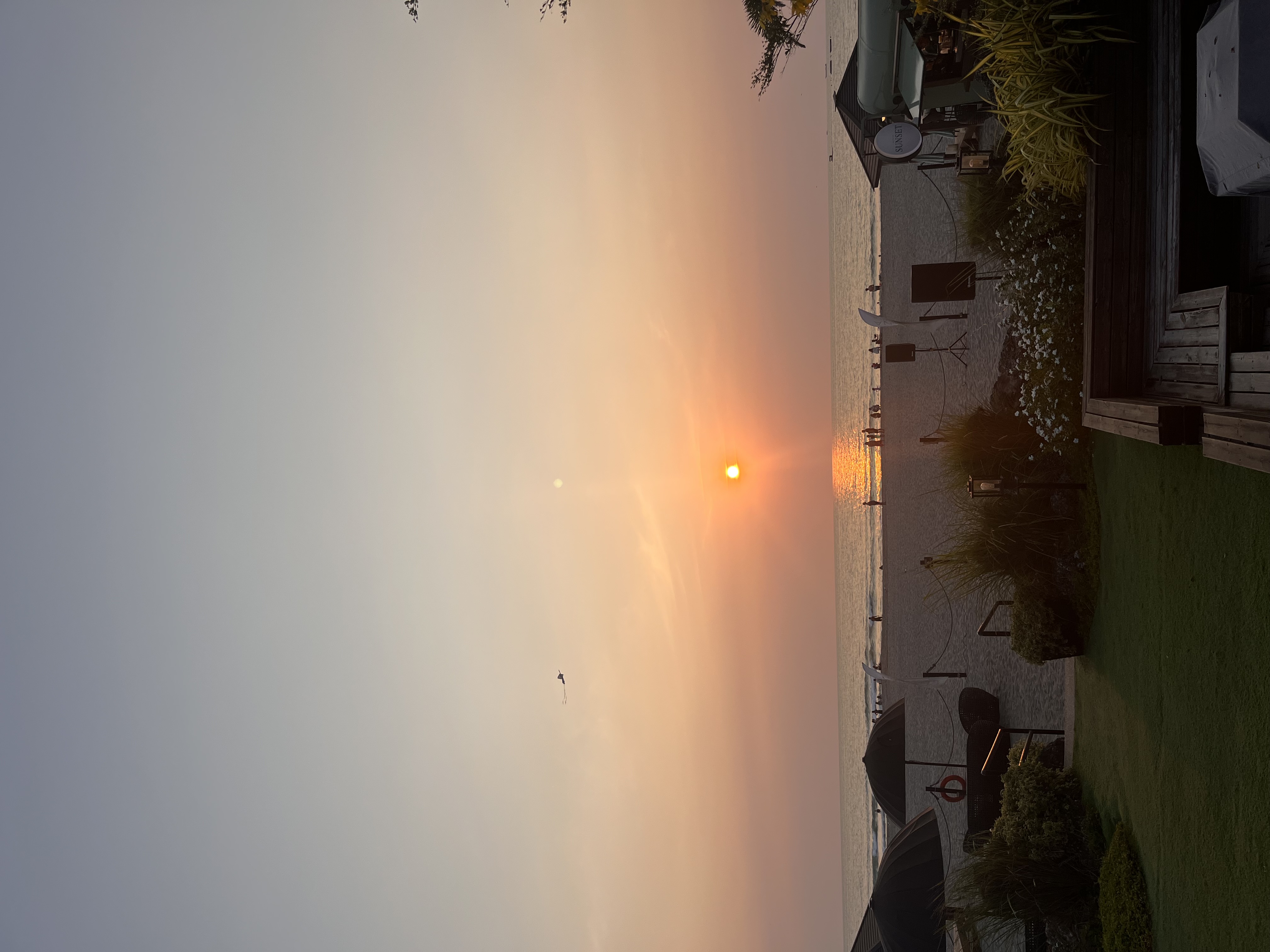 IMG_6032.jpeg