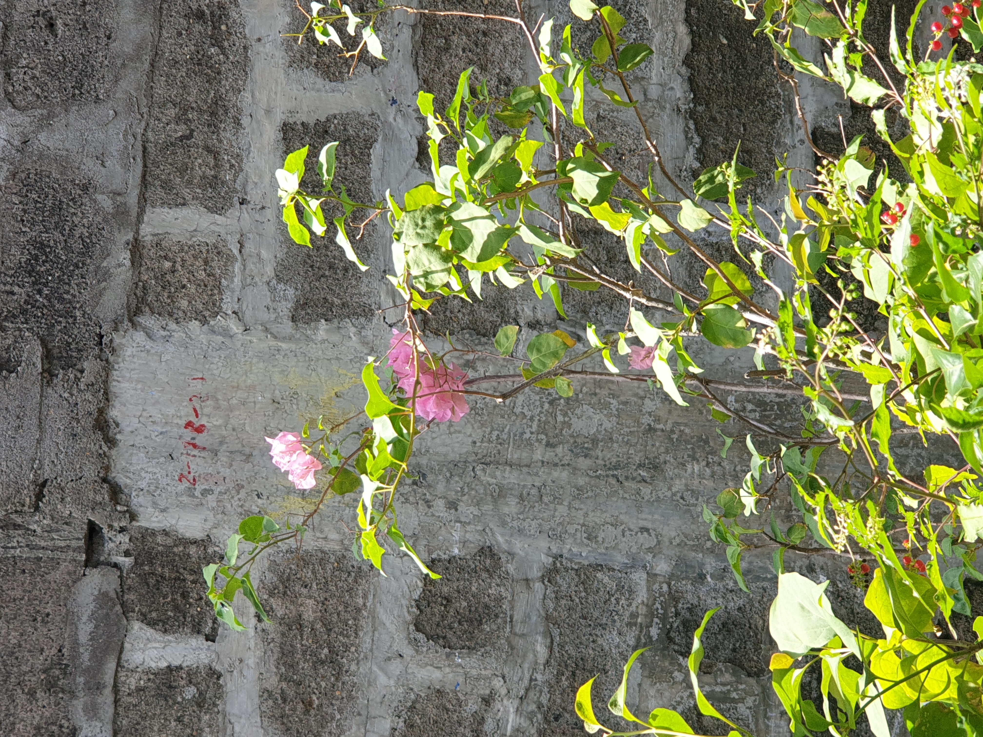 image-705239017166907984.jpg