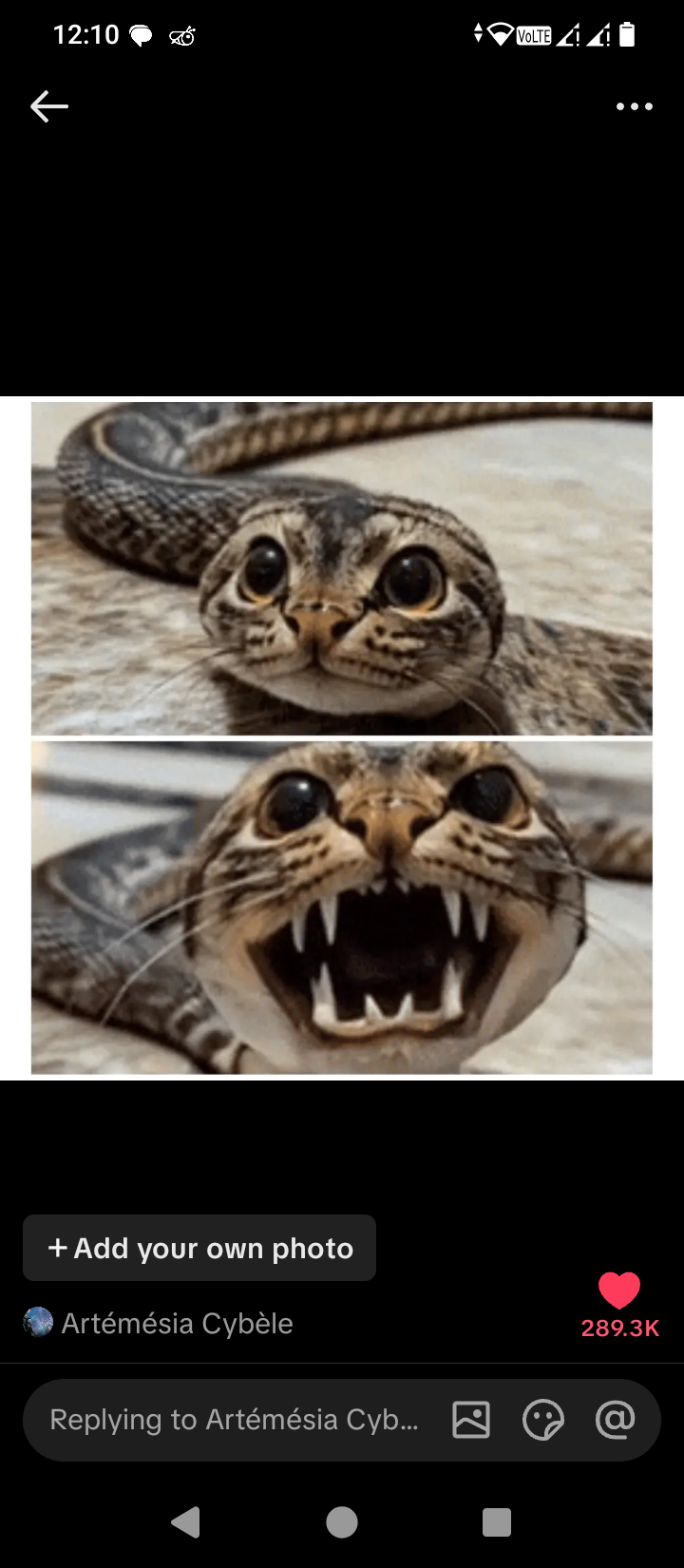 1000002159.png