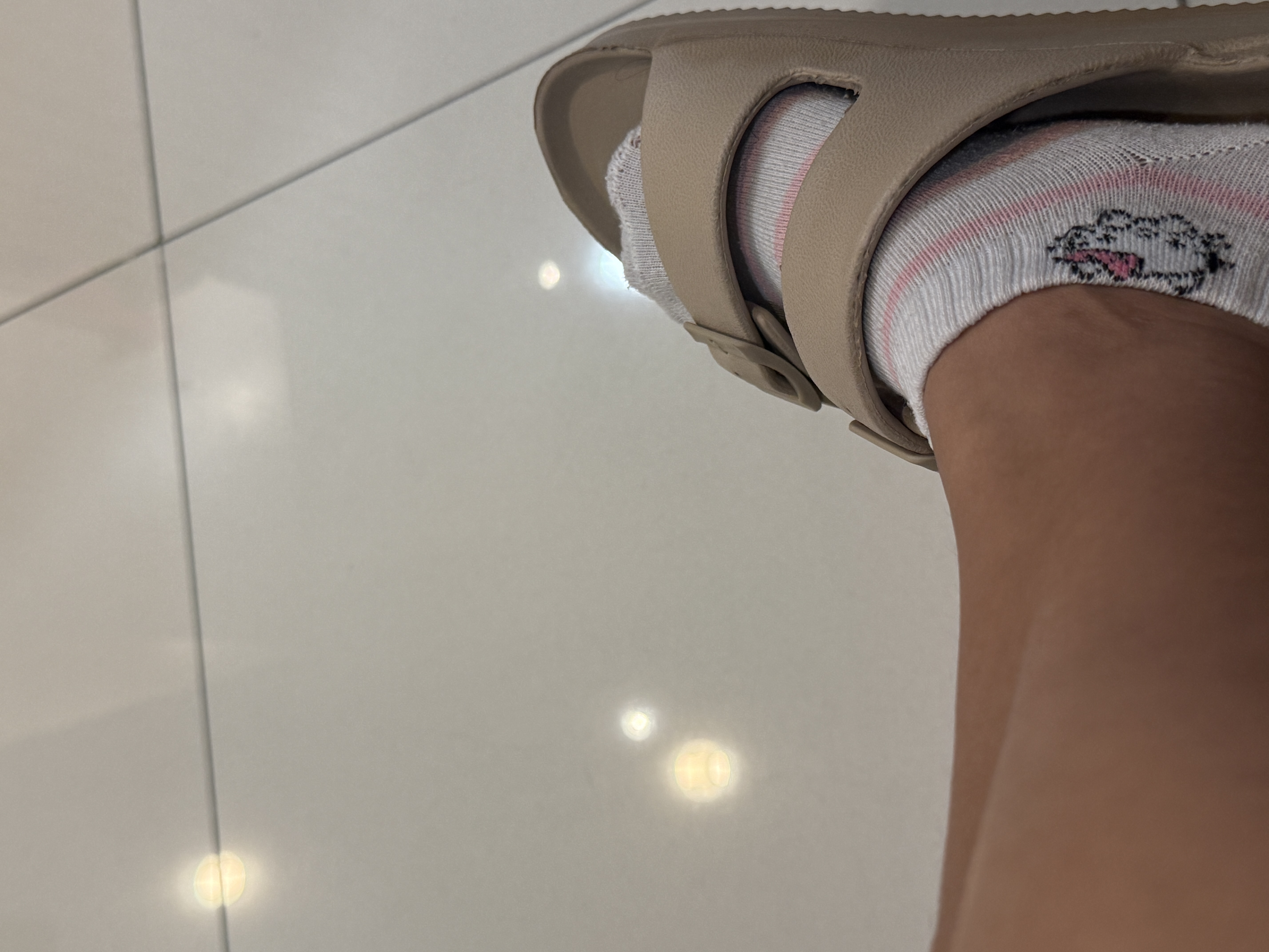 IMG_4548.jpeg